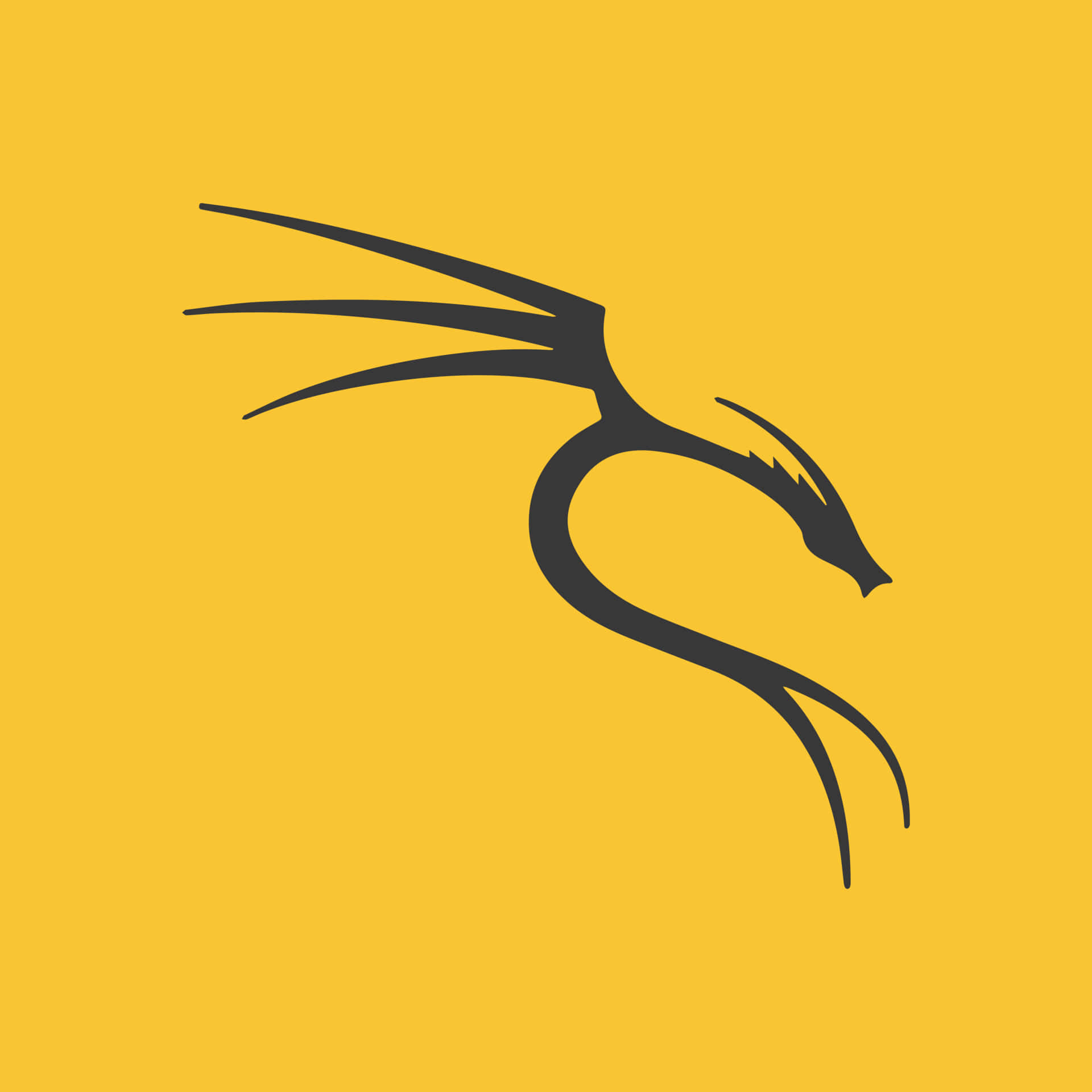 Kali Linux 圖片