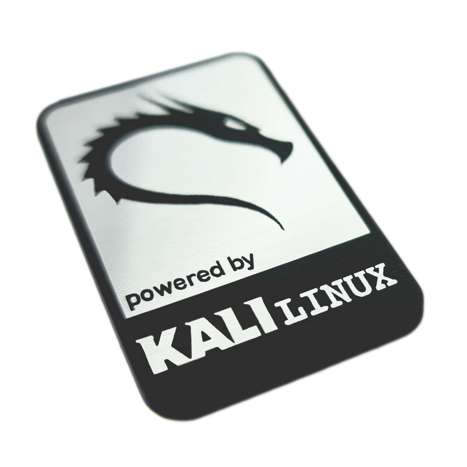 Kali Linux 圖片