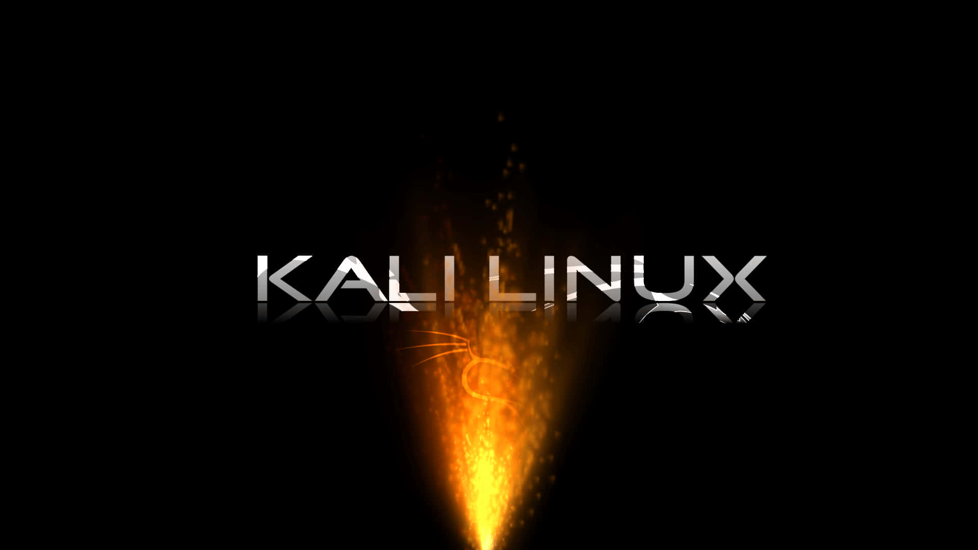 Kali Linux 背景