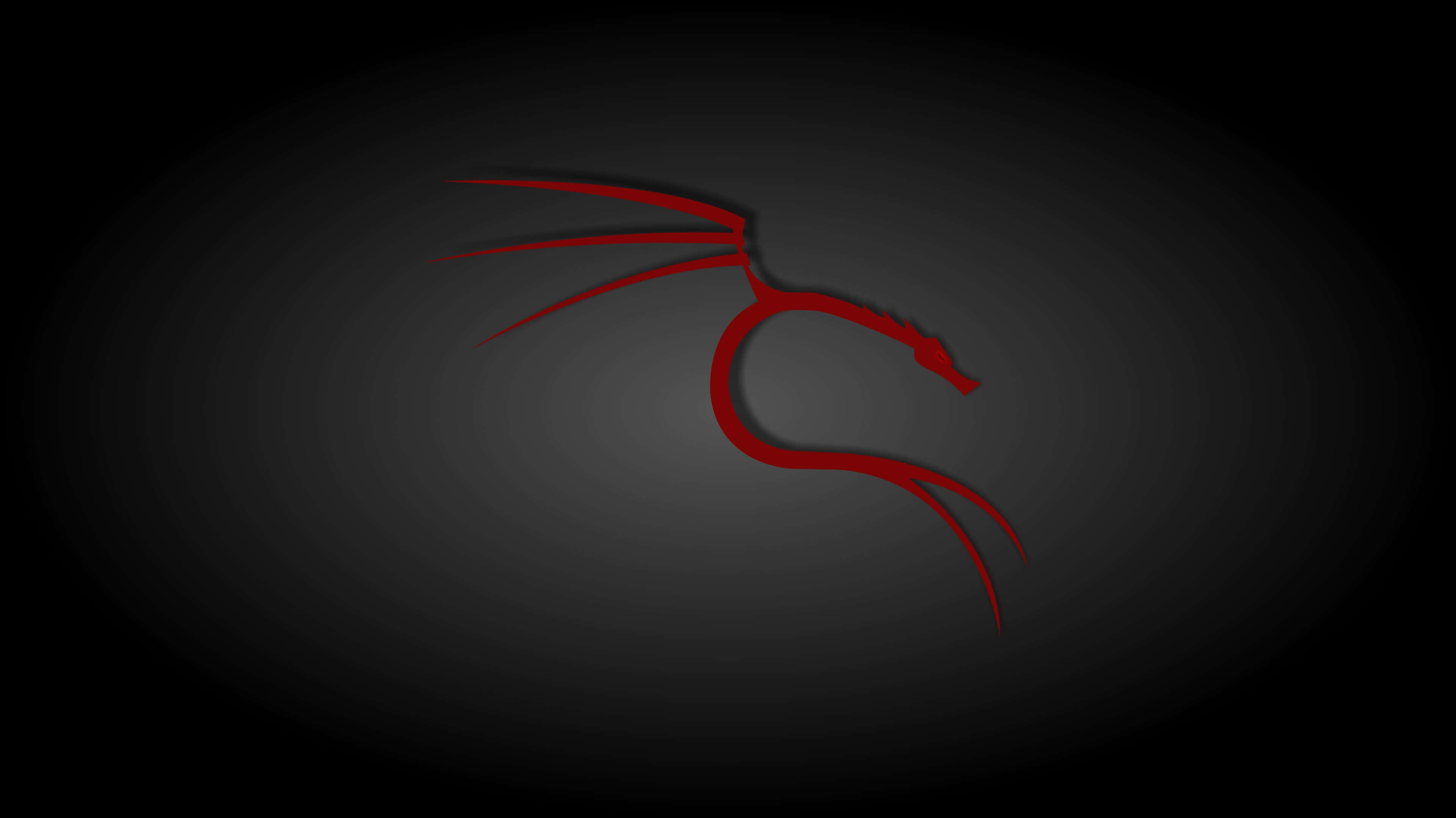 Kali Linux 的力量 壁紙 — 一條流線型的紅色龍剪影在深色漸變背景上優雅地彎曲。