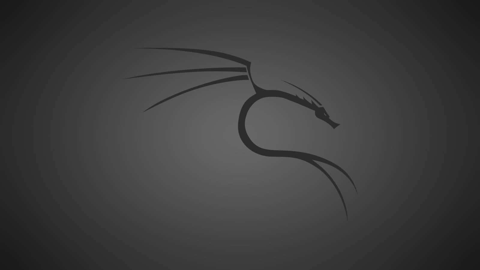 Kali Linux 的官方背景 壁紙 — 一條光滑的黑色龍剪影在漸變灰色背景上優雅地彎曲。