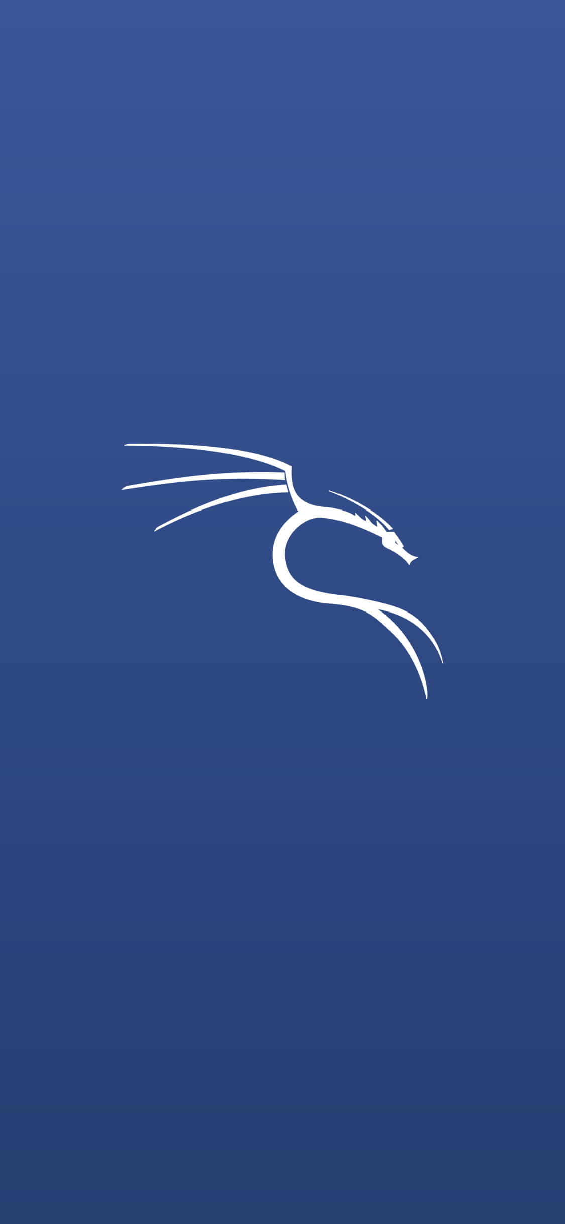 Kali Linux 矩陣環境 壁紙 — 一個簡約的白色龍標誌，優雅地彎曲在漸變藍色背景上。