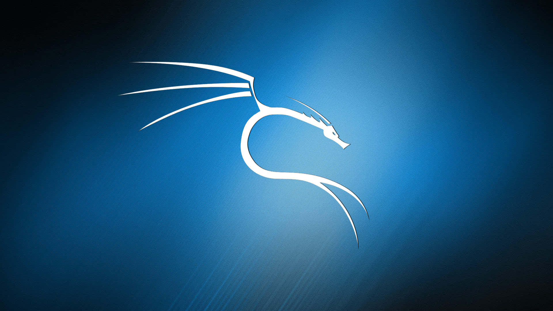 Kali Linux 系統介面 — 道具黑客的首選 壁紙 — 一條時尚的白色龍剪影在漸變藍色背景上滑行，背後散發出微妙的光線。