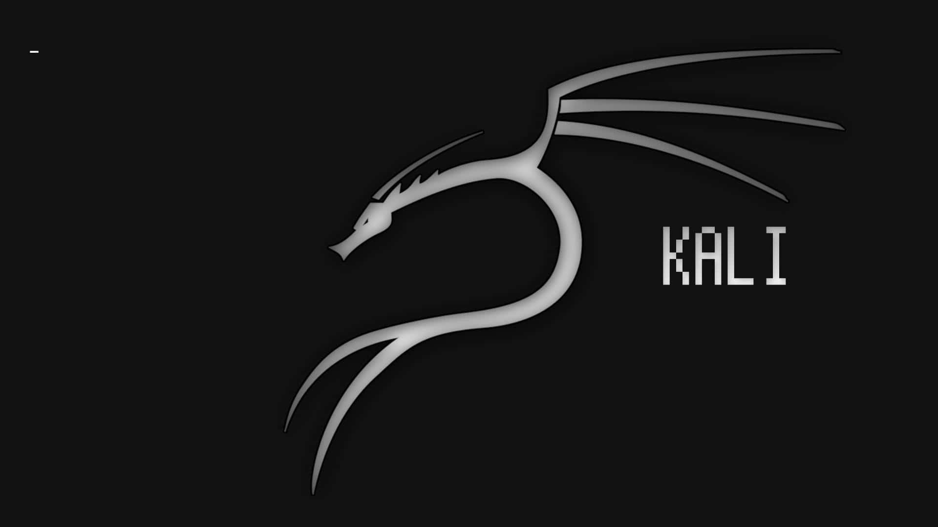 Kali Linux 背景 壁紙