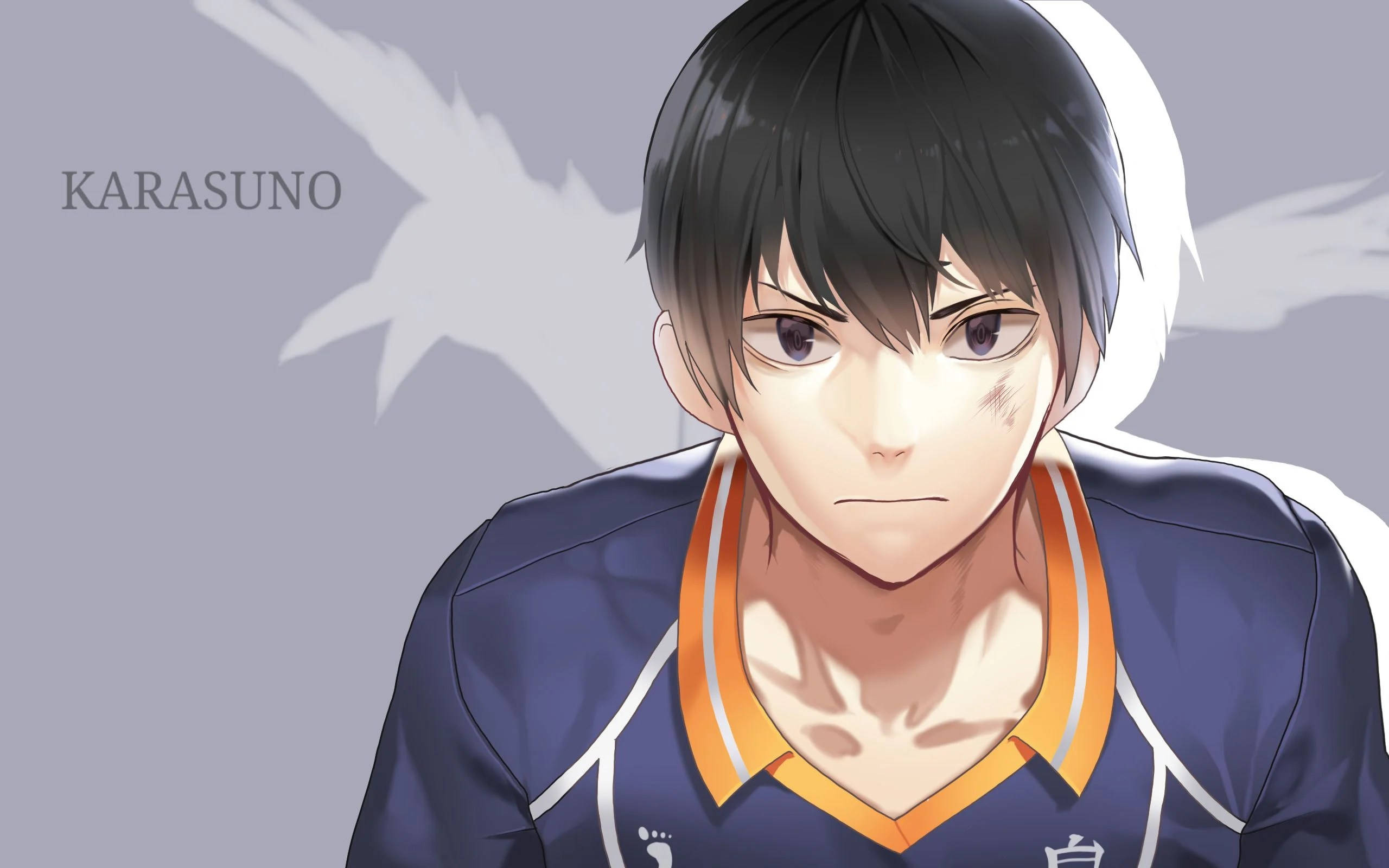 Karasuno 接應手 影山飛雄 壁紙 — 一個堅定的動漫排球運動員穿著烏野球衣，在灰色背景上凝視著一隻白色鳥的剪影。