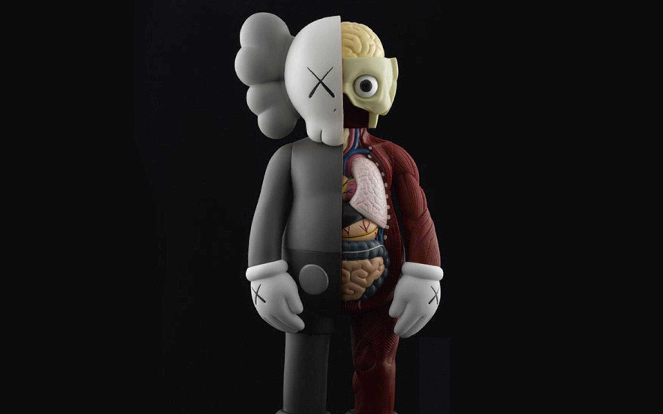 KAWS「Flayed」乙烯基人偶 壁紙 — 一個分裂的KAWS人物在黑色背景上揭示其內部器官。