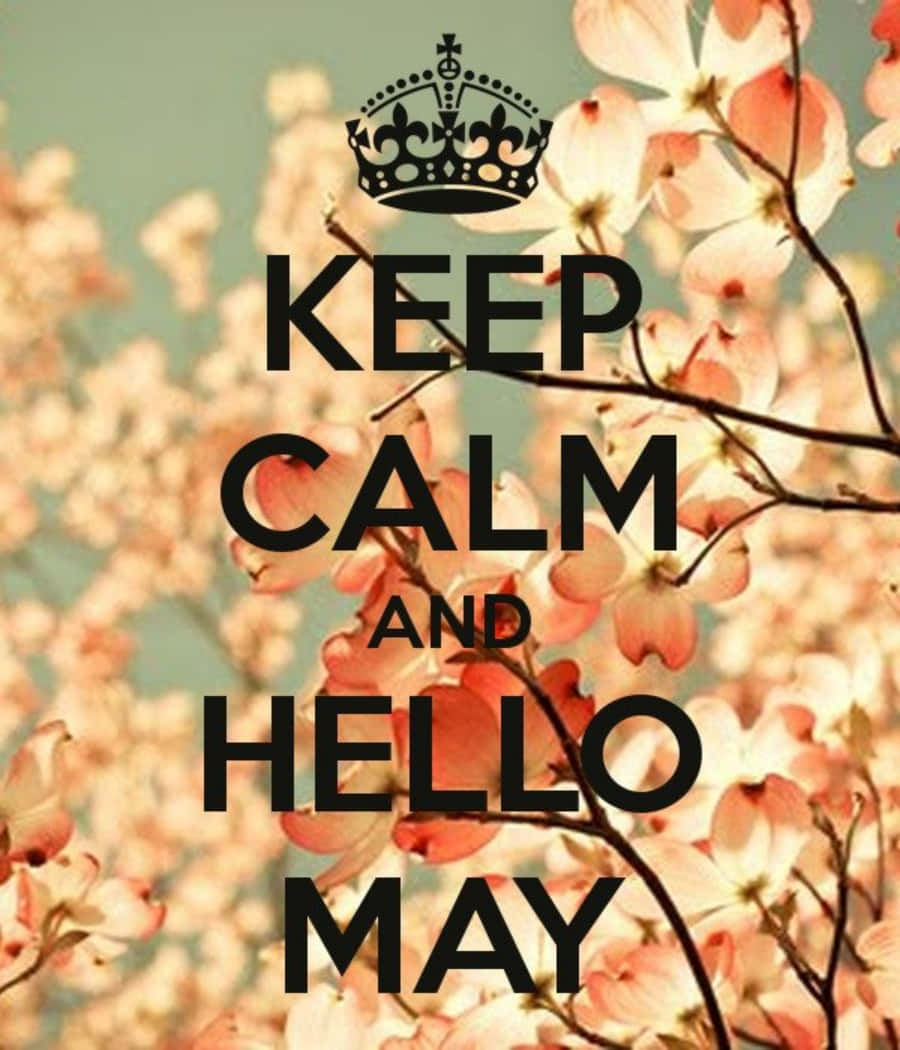Keep calm and hello may 文字海報 粉紅花 背景
