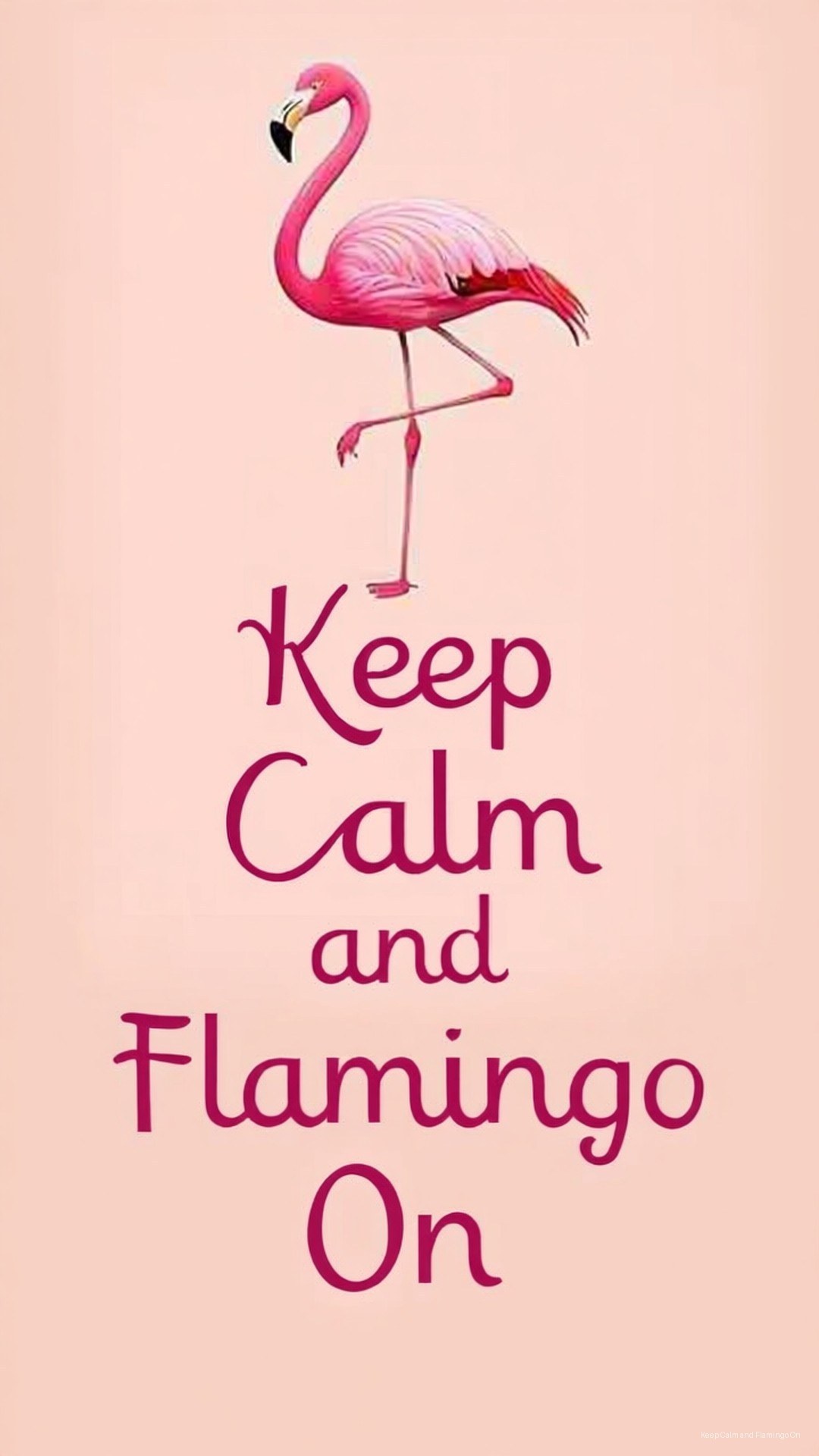 一隻粉紅色火烈鳥單腳站立，並以紫色文字顯示「Keep Calm and Flamingo On」的短語。