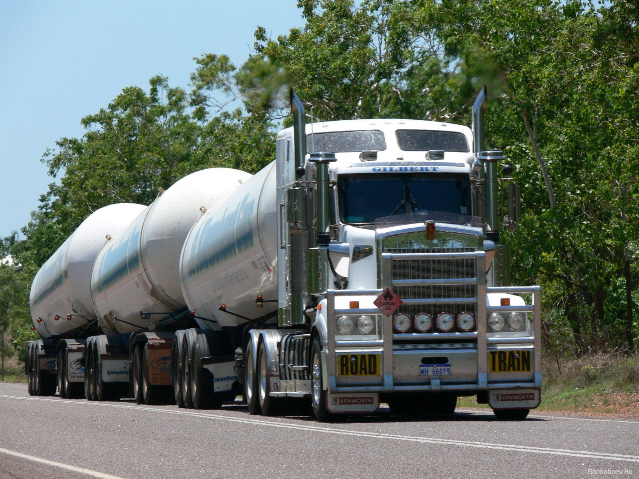 Kenworth W900路線列車 壁紙 — 一輛閃亮的銀色 Kenworth 油罐車拖著三個大型圓柱形油罐，行駛在陽光普照、兩旁綠樹成蔭的高速公路上。