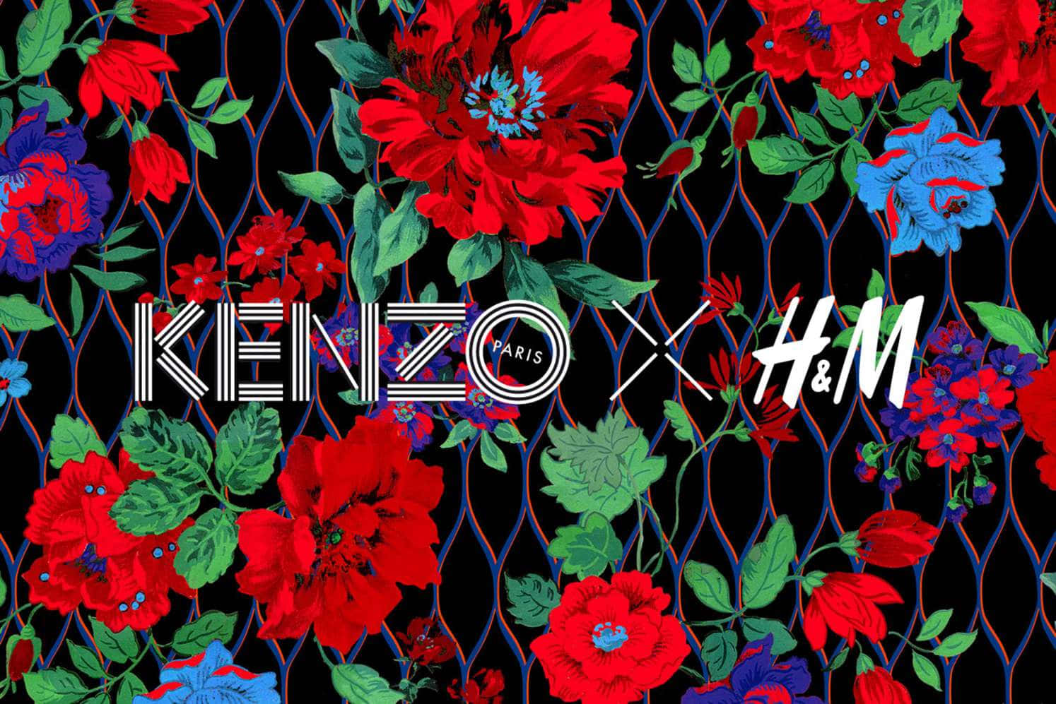 Kenzo x H&M 標誌被大膽的紅、藍、綠色花朵包圍在黑色鐵絲網圍欄上。