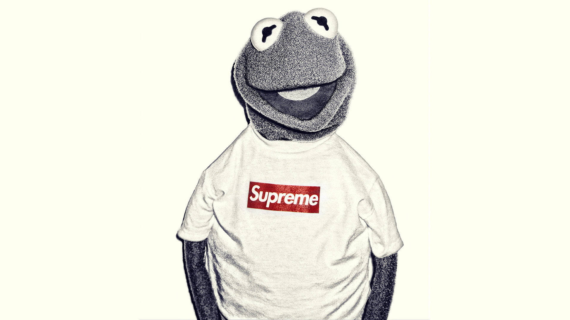 青蛙柯米克在奶油色背景上穿著白色Supreme T恤。