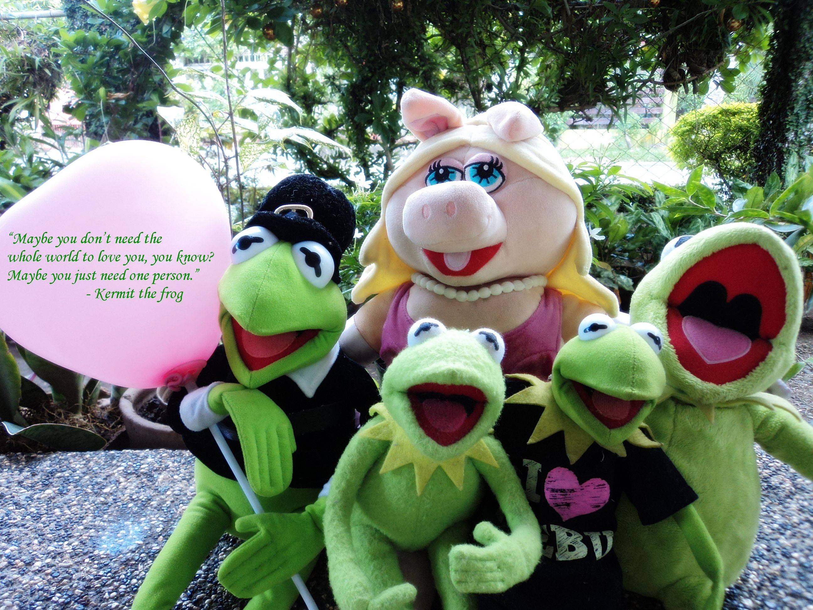 Kermit 與家人 壁紙 — 四個Muppet毛絨玩具，包括Kermit、Miss Piggy和兩隻青蛙，在戶外愉快地擺姿勢，手持粉紅色氣球和勵志語錄。