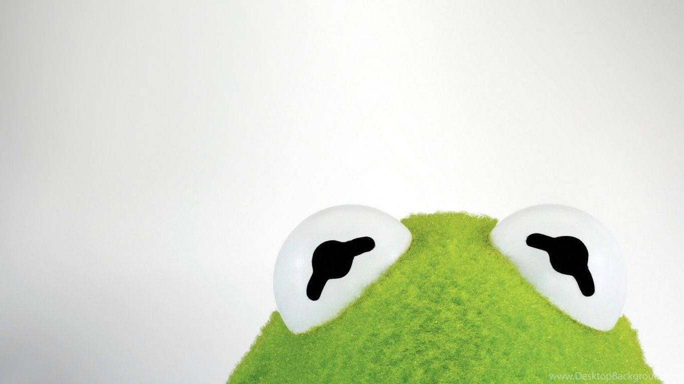 Kermit 面部特寫 壁紙 — 白色背景上，一隻明亮綠色絨毛表面後方窺視的科米蛙大白色眼睛特寫。