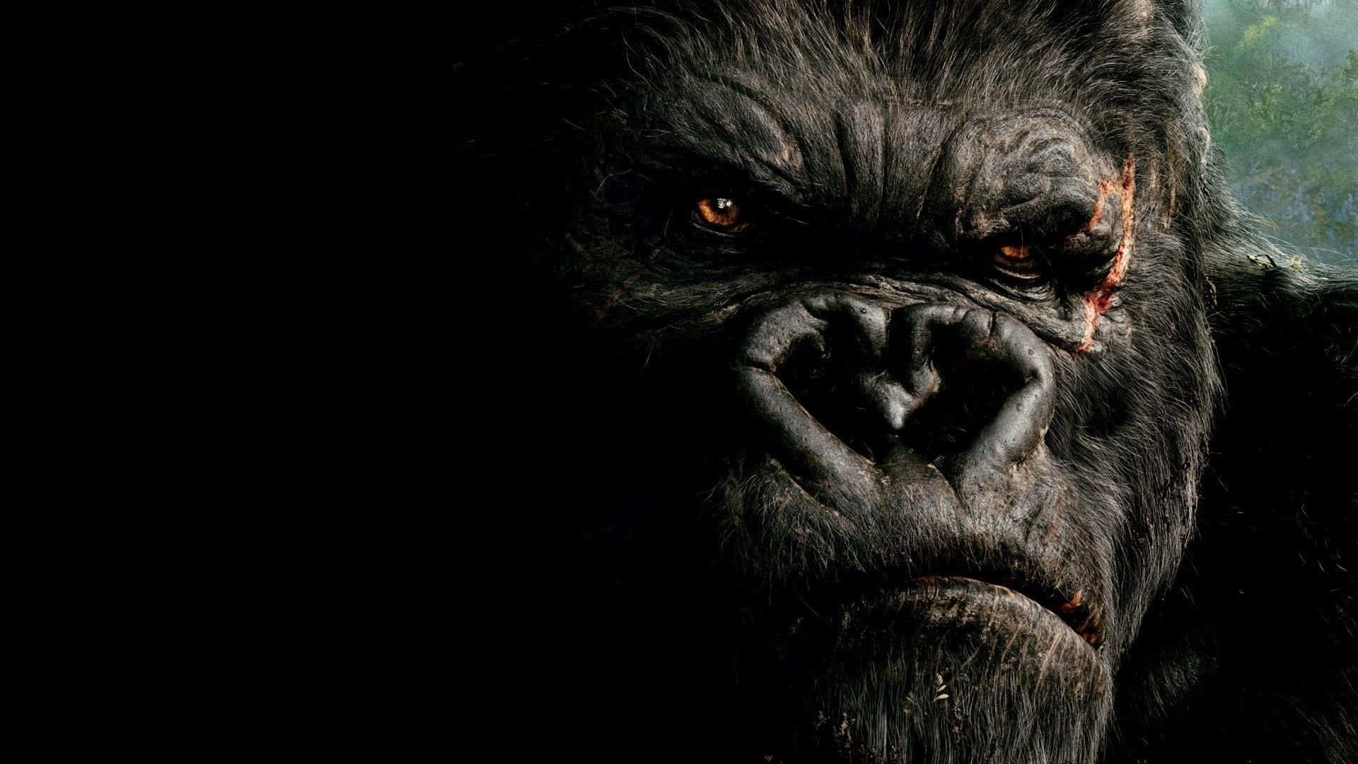 在黑暗叢林中，一隻血跡斑斑的大猩猩特寫，眼睛發光。