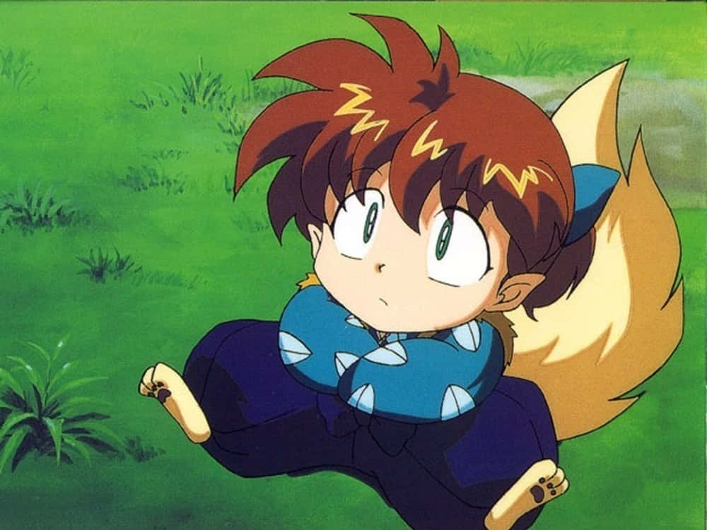 shippo 桌布 壁紙 — 一個驚訝的動畫狐狸男孩，棕色頭髮和藍色衣服，蹲在充滿活力的綠色田野中。