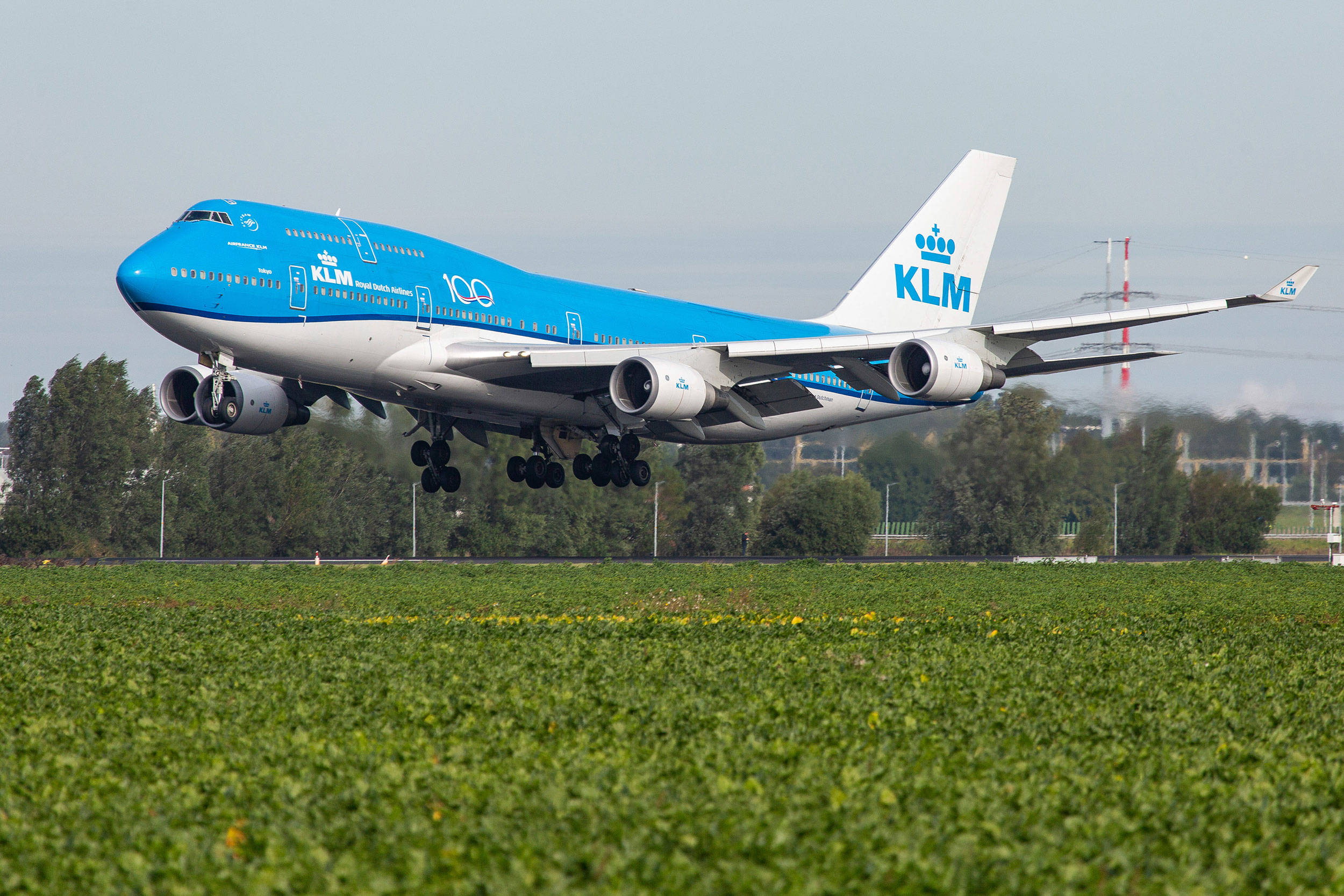 KLM 皇家荷蘭航空波音 747-406 起飛瞬間 壁紙 — 一架藍色塗裝的KLM波音747在點綴著黃花的翠綠田野上空起飛。