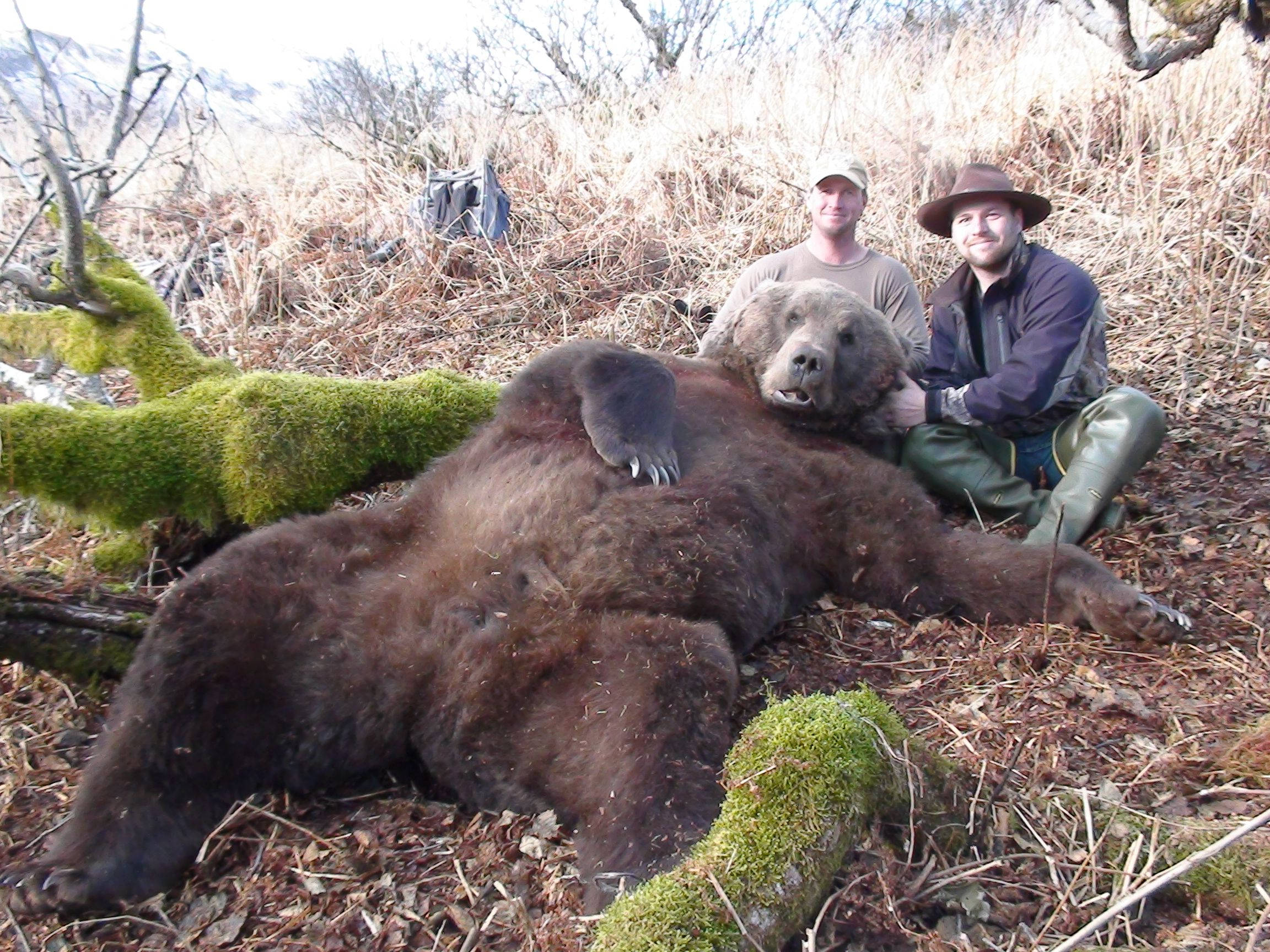 Kodiak熊與獵人 壁紙 — 兩名獵人在乾燥灌木叢林中，在長滿苔蘚的原木旁，與一具大型棕熊屍體合影。