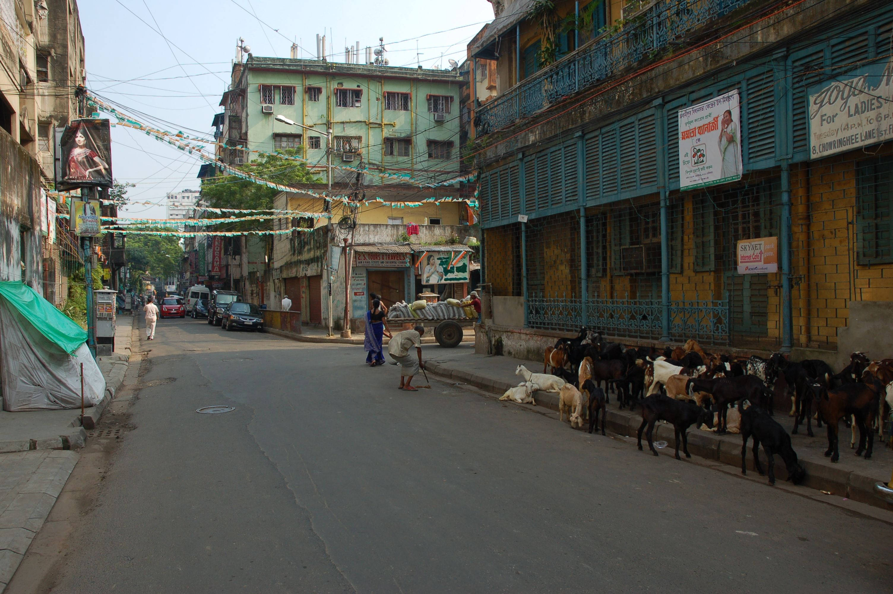 Kolkata 山羊街景 壁紙 — 在密集城市中一條繁華的都市街道，山羊在人行道上吃草，旁邊是色彩繽紛的建築物和懸掛的節日橫幅。