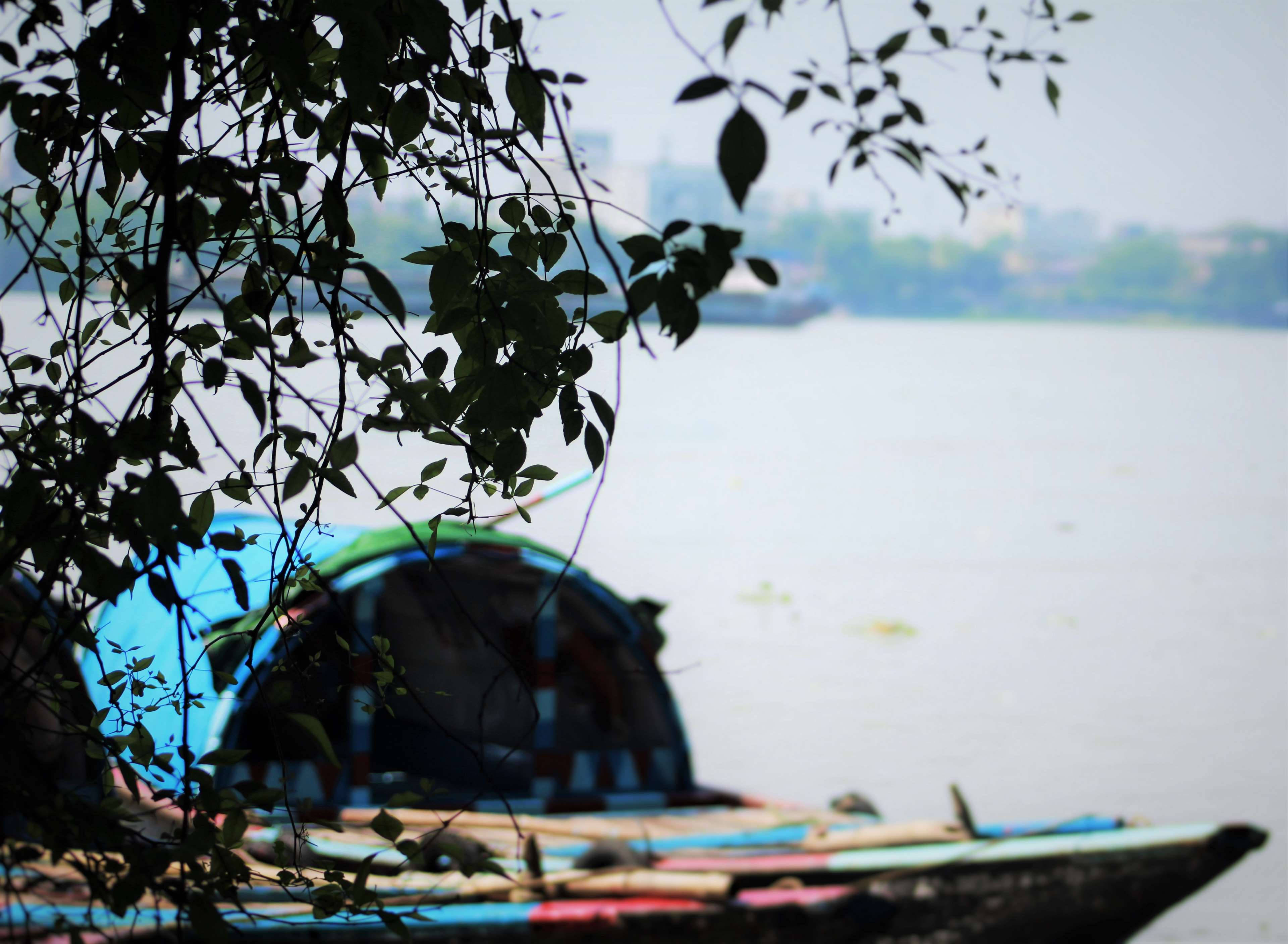 Kolkata 葉片聚焦 壁紙 — 一艘色彩繽紛的小船停泊在湖邊，被剪影般的樹枝框住，遠處是朦朧的城市天際線。