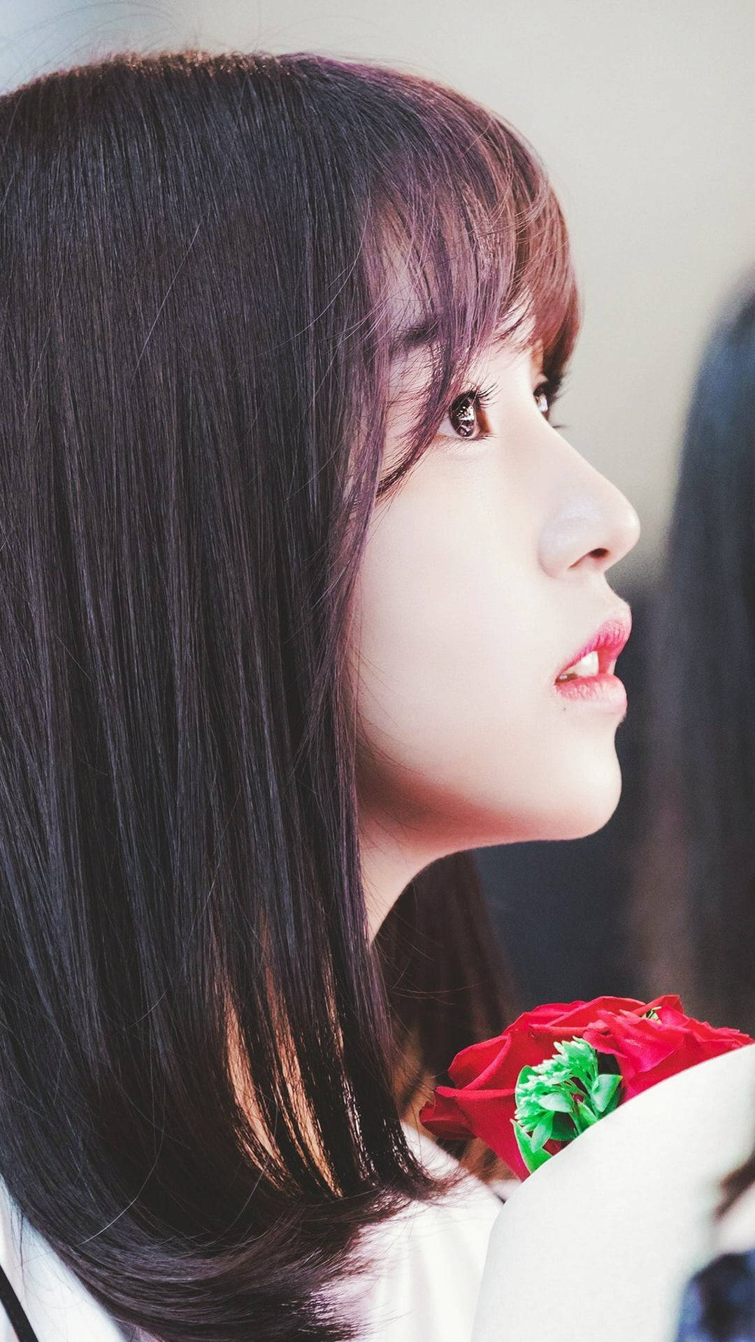 Kpop Twice 成員 Mina 壁紙 — 一位長黑髮的年輕女性，在柔和模糊的背景前，若有所思地凝視著手中鮮豔的紅玫瑰。