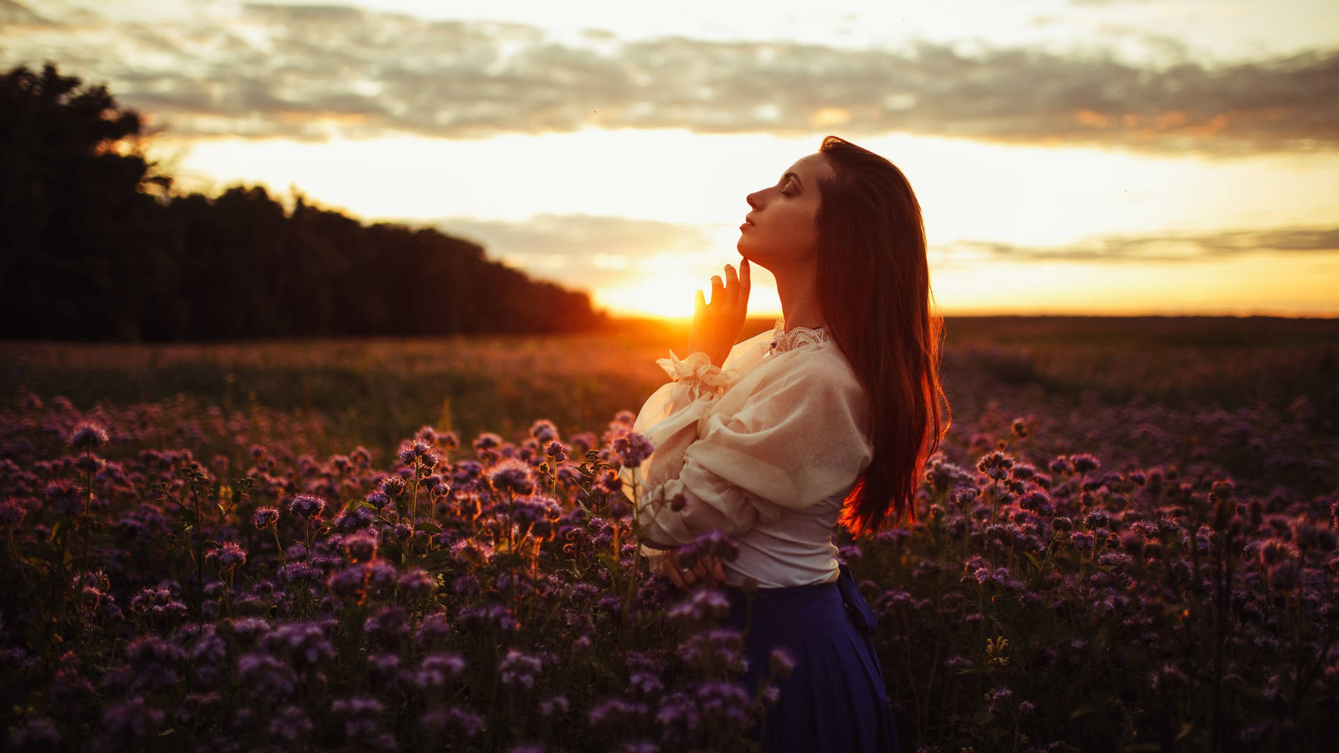 金色夕陽下紫色花田中的女子，雙手靠近臉龐