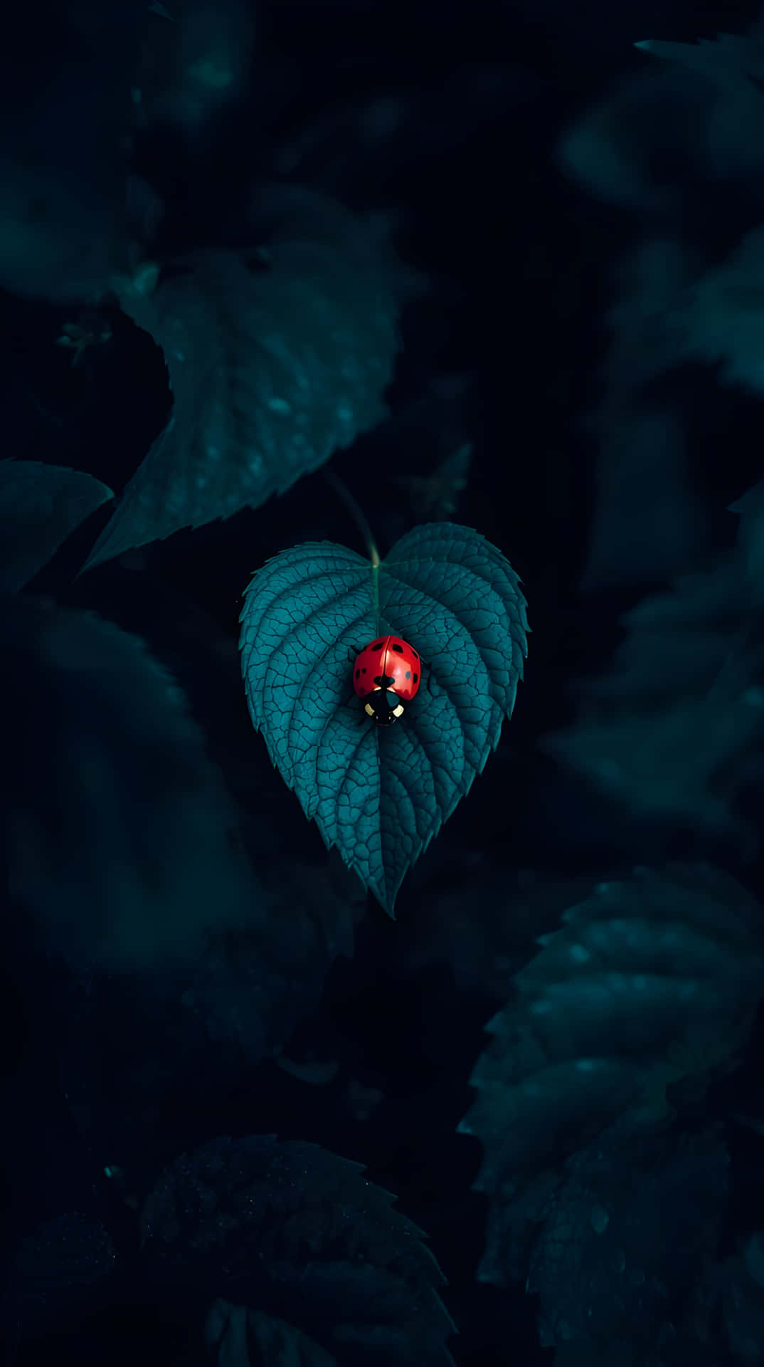 黑暗樹葉中青綠色葉子上的紅色瓢蟲