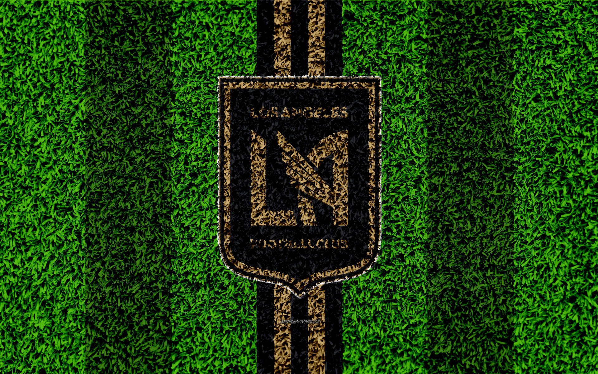 LAFC足球隊徽章喺綠色草地場上，帶有黑色條紋