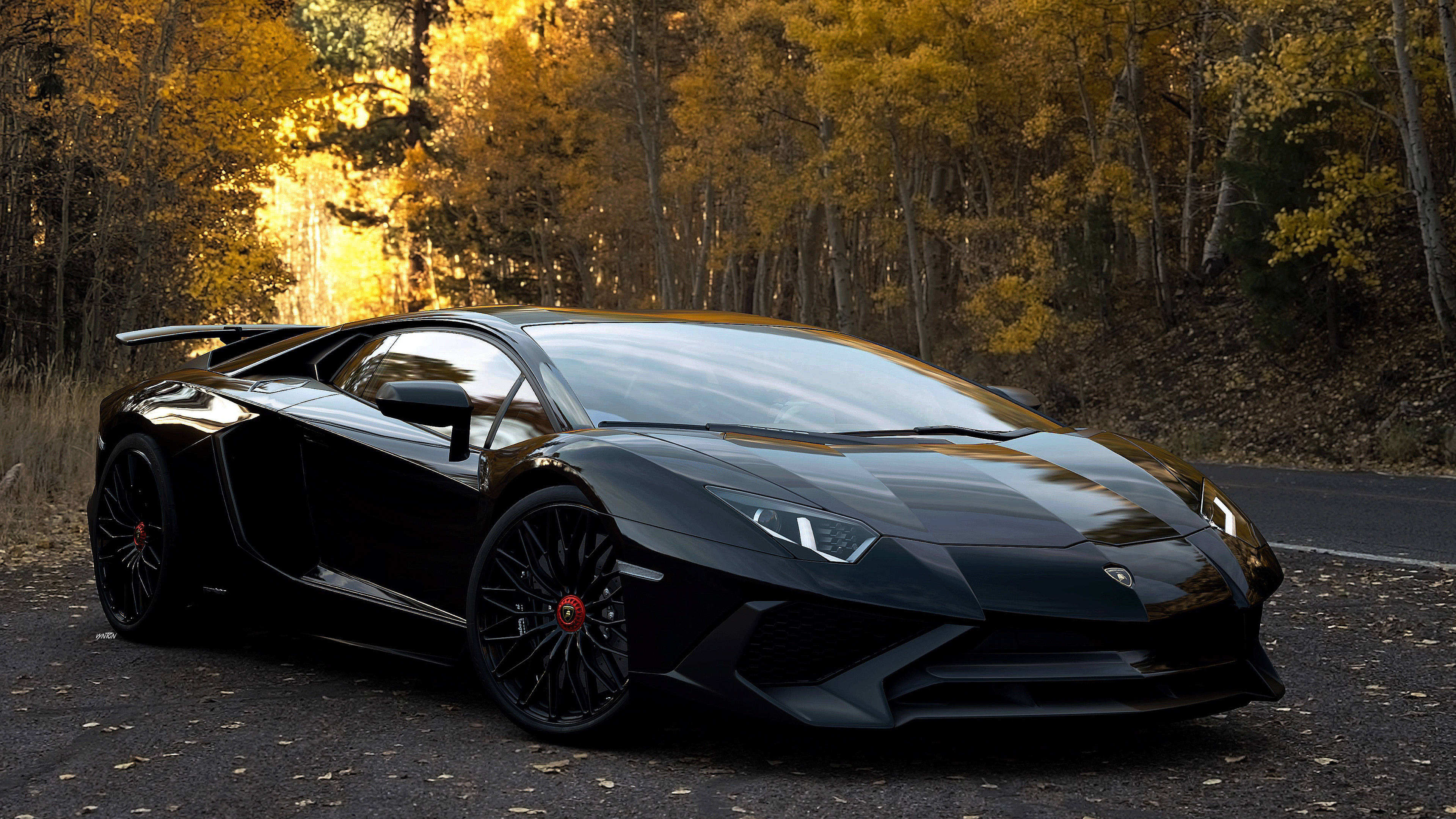 森林背景的黑色 Lamborghini 壁紙 — 一架型格黑色林寶堅尼Aventador停泊在森林道路上，周圍是金黃色的秋樹。