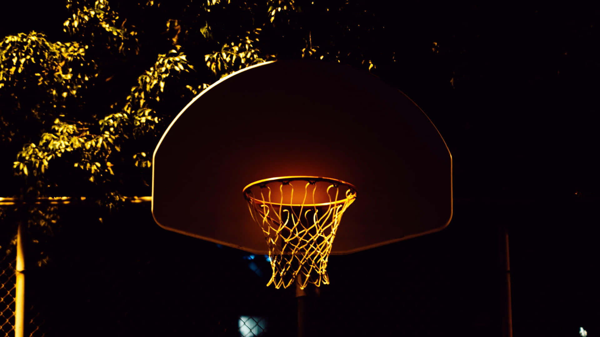 夜晚被照亮的籃球框，背景有樹木。