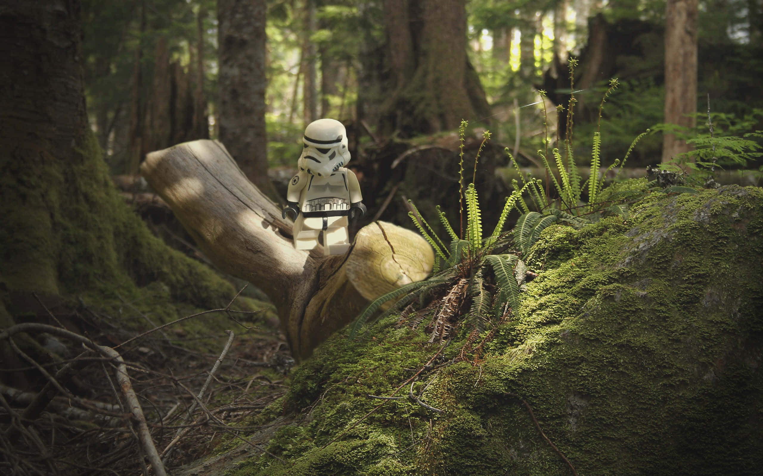 Endor 桌布 壁紙 — 一個 LEGO 暴風兵站在長滿苔蘚的木頭上，身處陽光斑駁、蕨類植物和參天大樹的森林中。