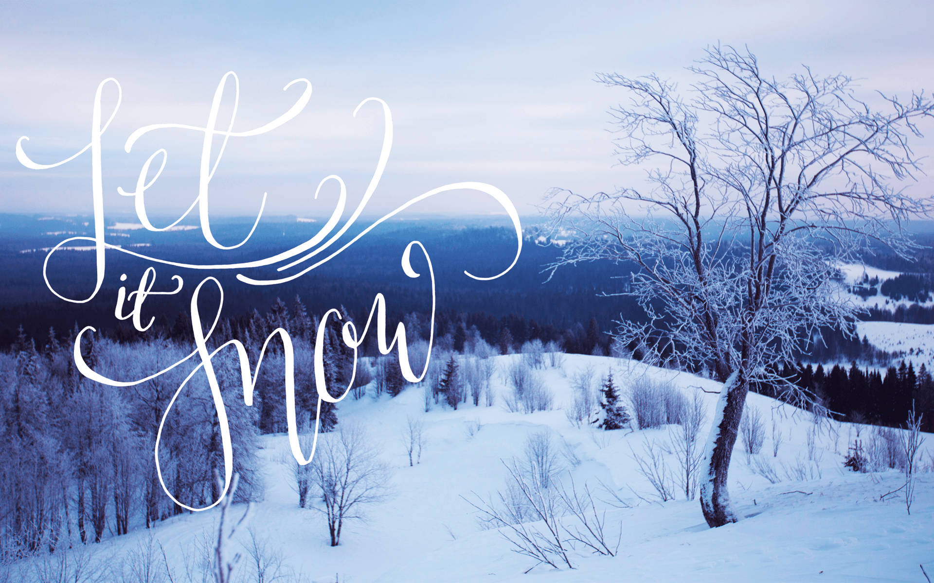 白雪覆蓋的山坡，光禿的樹木和草書文字寫著 Let it snow。