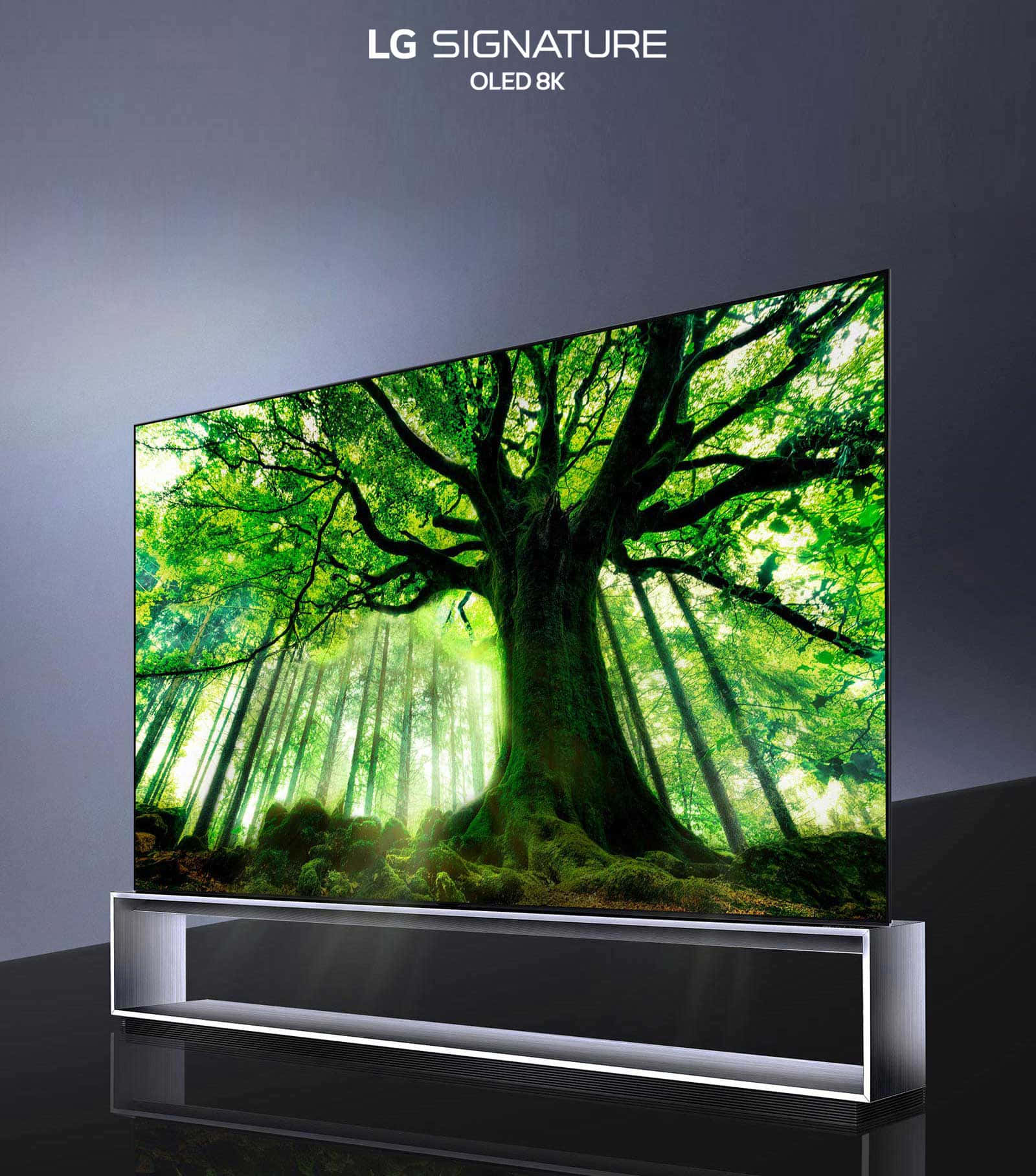 LG Signature OLED 8K電視畫面 壁紙 — 一部時尚的LG OLED電視顯示出一個生動的森林場景，有一棵巨大的樹和陽光穿過茂密的綠葉。