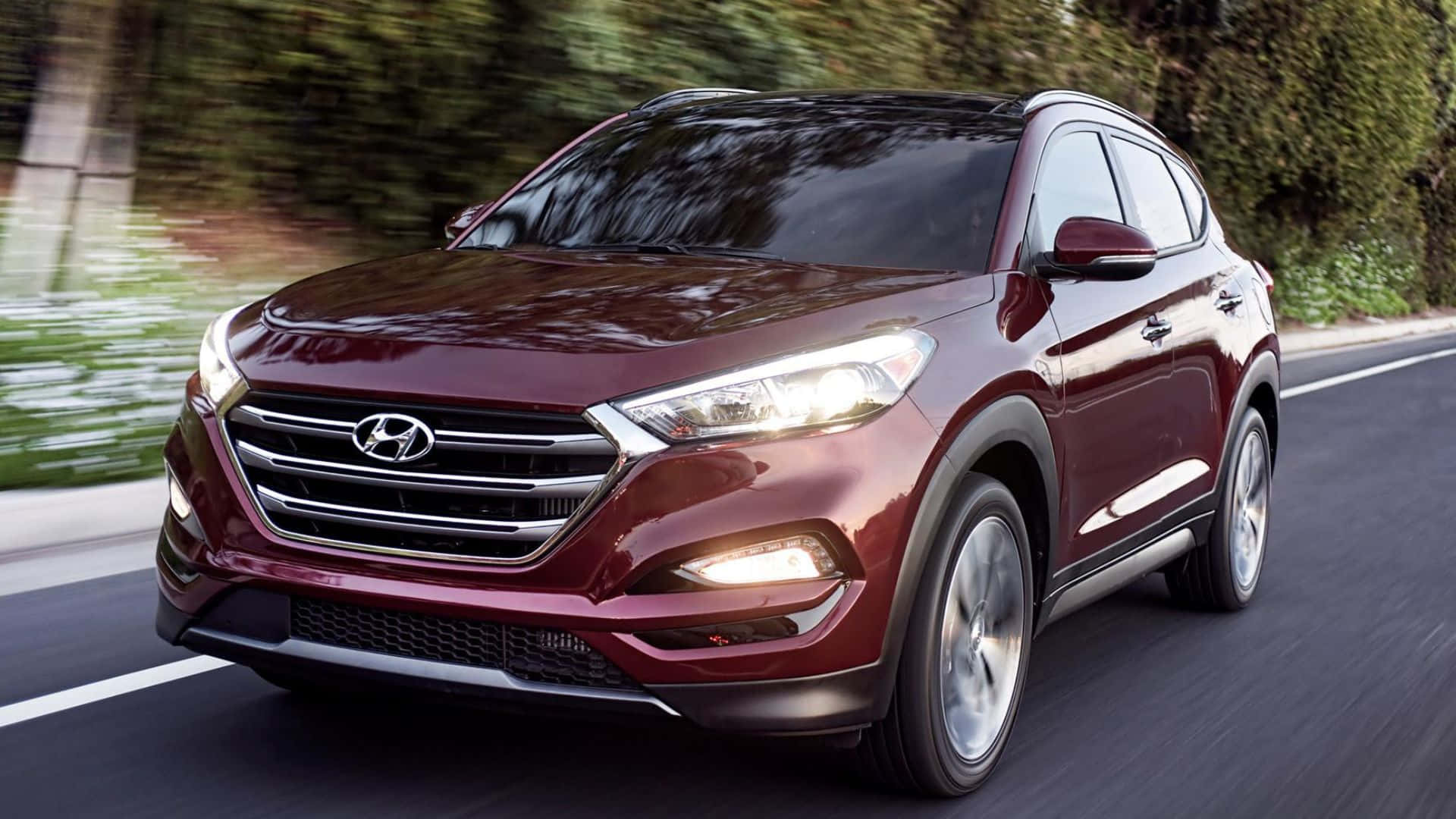 Hyundai Tucson 桌布 壁紙 — 一輛栗色現代 Tucson SUV 在鋪砌道路上疾馳，背景有模糊的綠色樹葉。