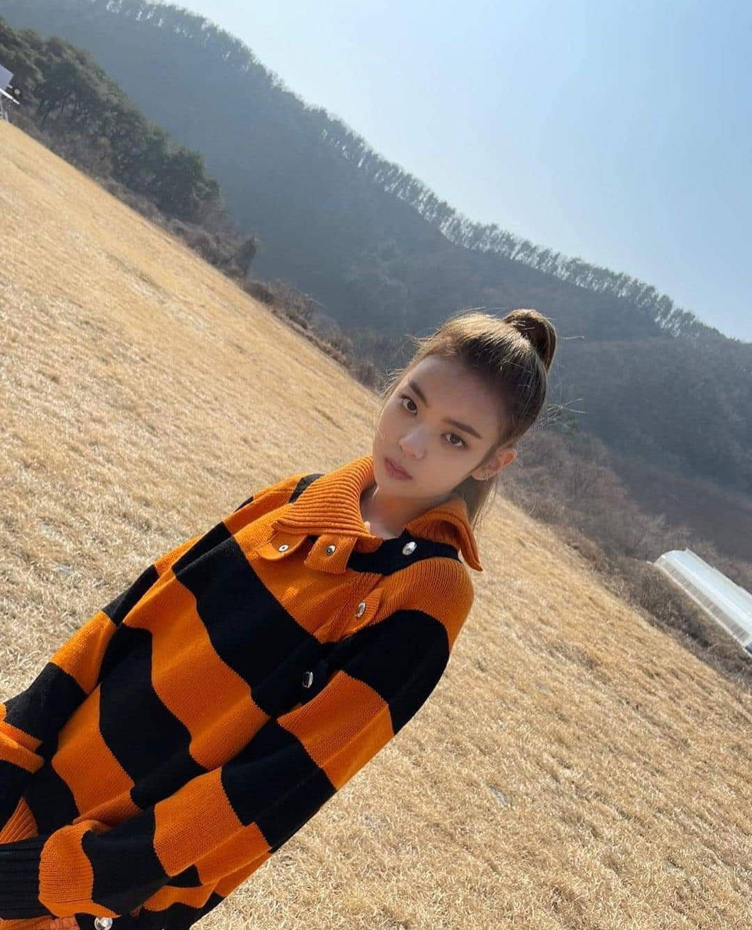 Lia 森林背景 壁紙 — 一位年輕女性穿著大膽的橙色和黑色條紋毛衣，在乾燥的草地上自信地擺姿勢，背景是森林覆蓋的山丘和清澈的藍天。
