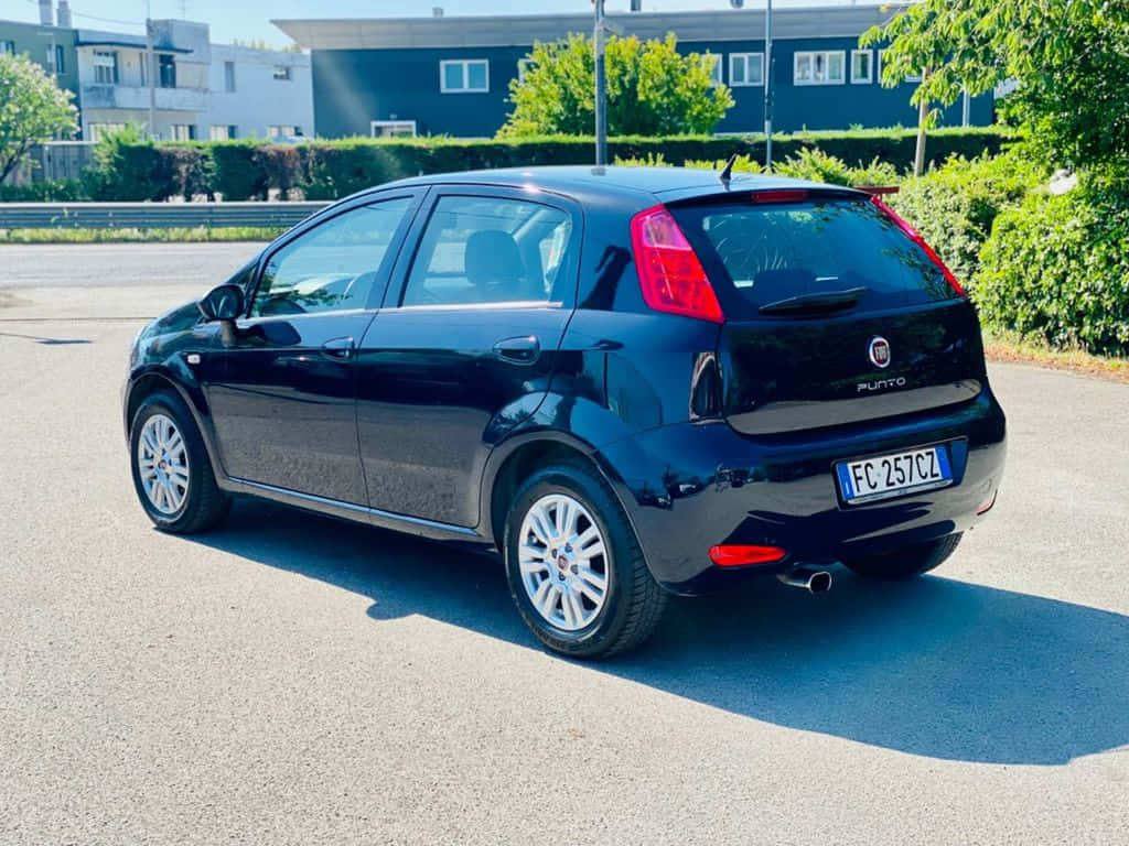 Fiat Punto 桌布 壁紙 — 一輛亮黑色的菲亞特Punto停在瀝青路上，背景有綠色灌木和建築物，在明亮的陽光下。