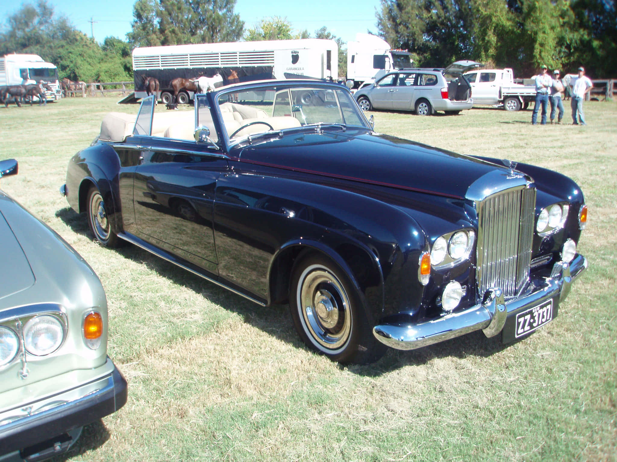 Bentley S3 桌布 壁紙 — 一輛亮黑色復古敞篷跑車在陽光明媚的草地上閃閃發光，背景有馬匹和拖車。