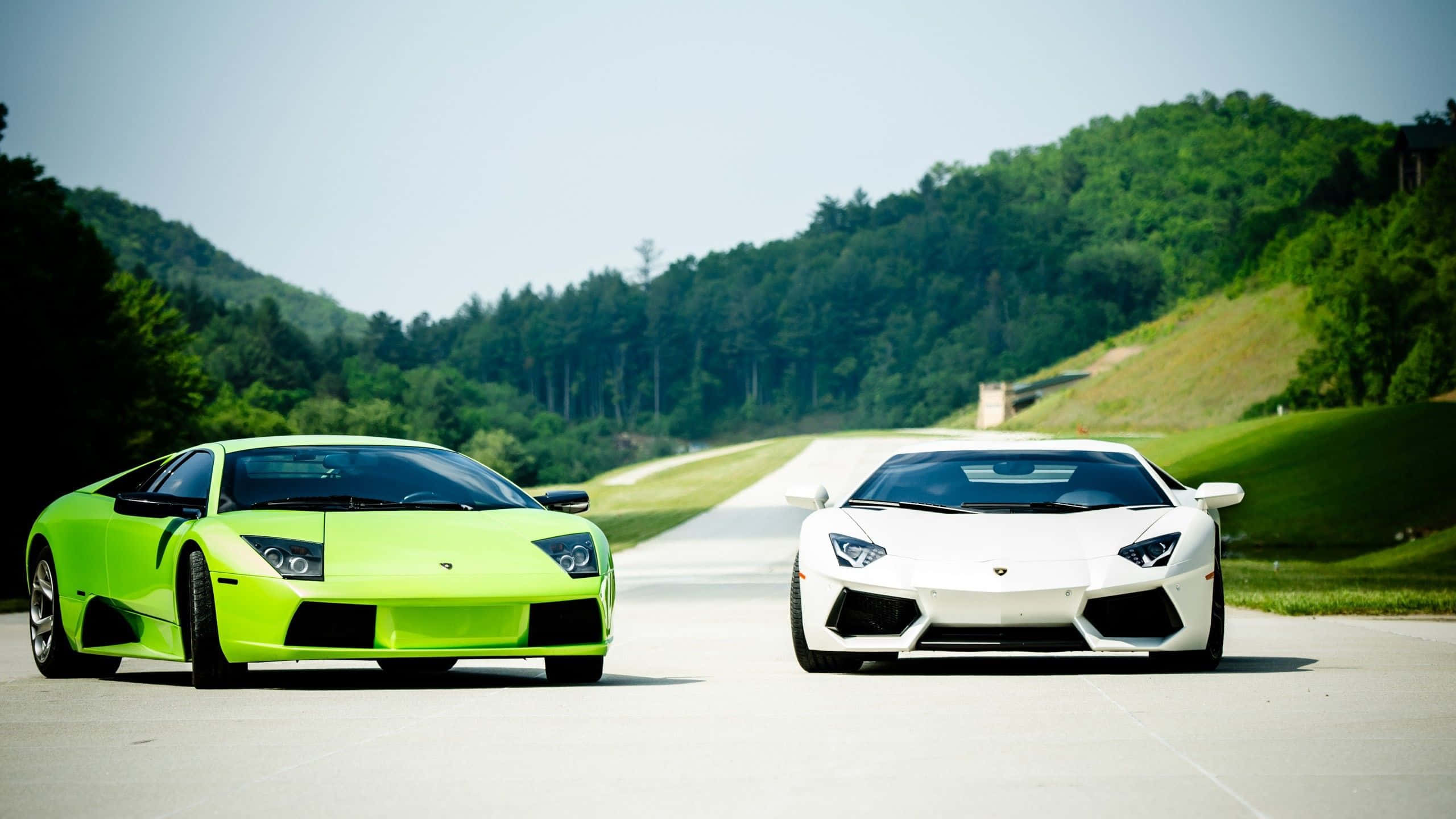 Lamborghini Murciélago 桌布 壁紙 — 兩輛時尚的林寶堅尼跑車，一輛螢光綠色，一輛白色，在蜿蜒的山路上對峙，兩旁是茂密的綠色山丘，天空清澈湛藍。