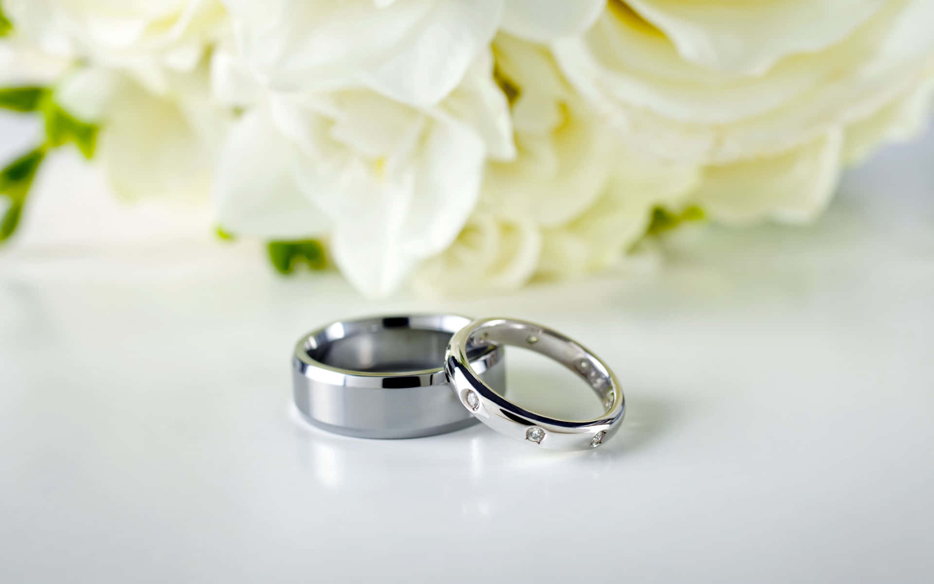 白色表面上白玫瑰旁的兩枚結婚戒指。