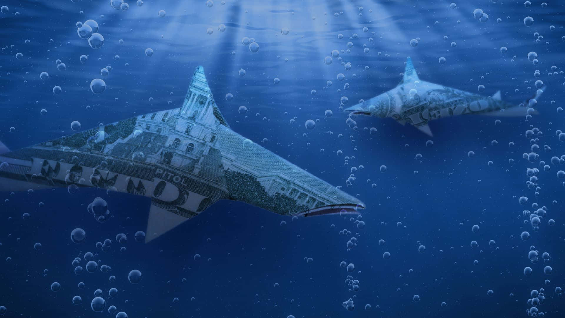  壁紙 — 兩條用美元紙幣製成的鯊魚在深藍色水中滑行，伴隨著陽光光束和氣泡。