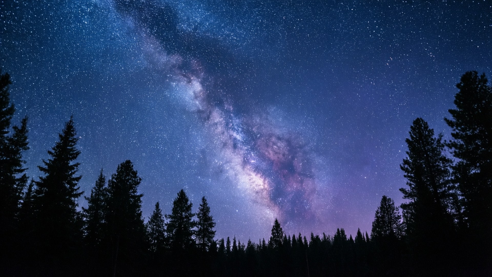 銀河系在黑暗的松樹剪影上方閃耀，星空下