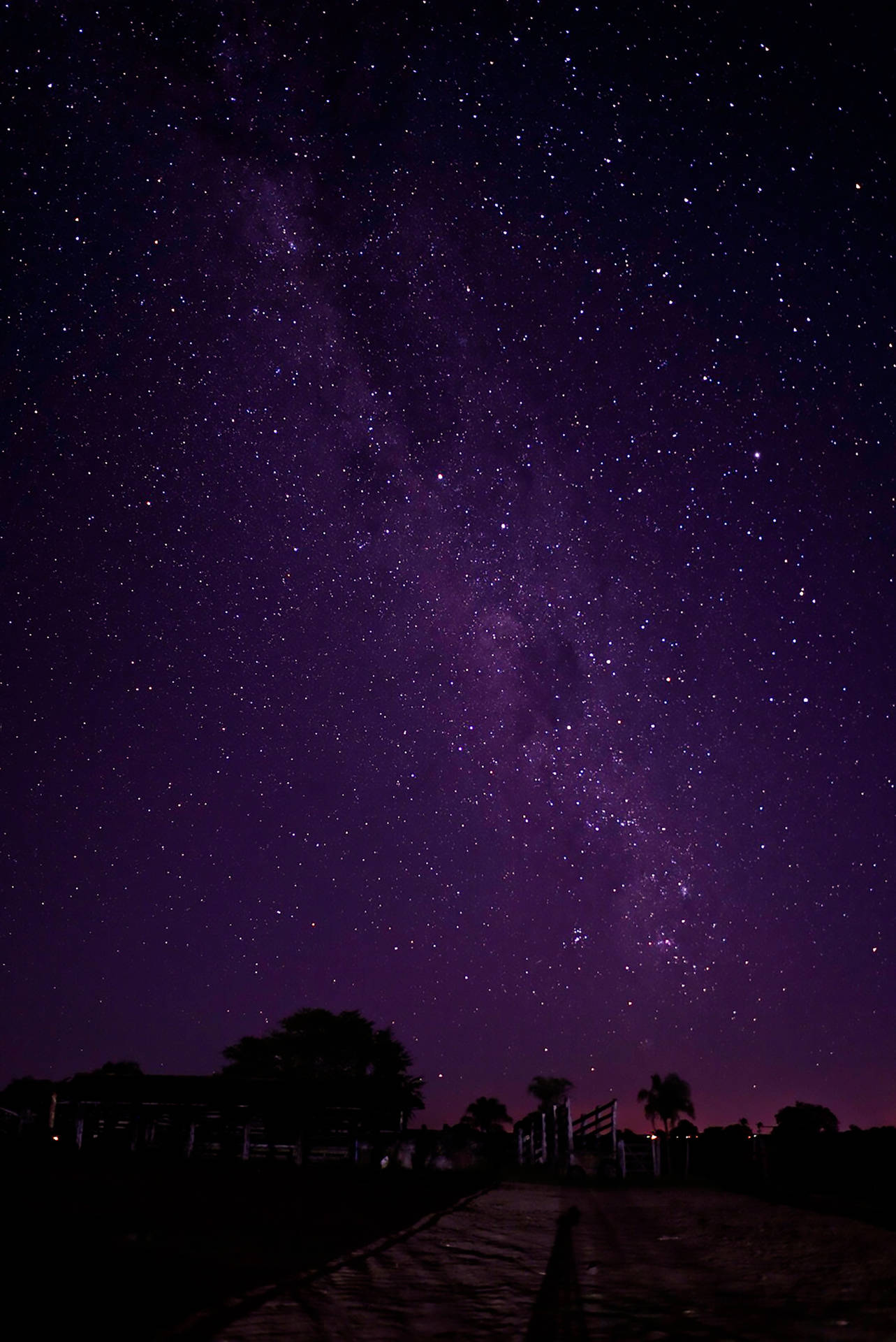 紫色星空夜空，銀河橫跨在黑暗的鄉村道路和樹木之上。