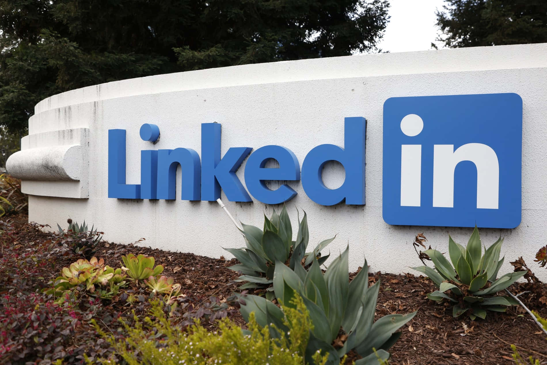 Linkedin 圖片 壁紙