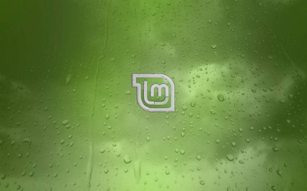 Linux Mint 操作系統標誌搭配水滴效果 壁紙 — 一個白色風格化標誌置於雨點斑駁的窗戶中央，窗外有模糊的綠色樹葉和雲朵。