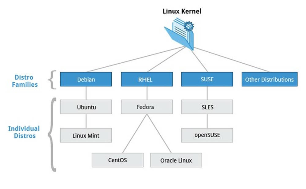 Linux 核心架構圖 壁紙 — 一個清晰的圖表，顯示 Linux 核心分支為主要發行版系列和個別發行版，帶有清晰的標籤和連接線。