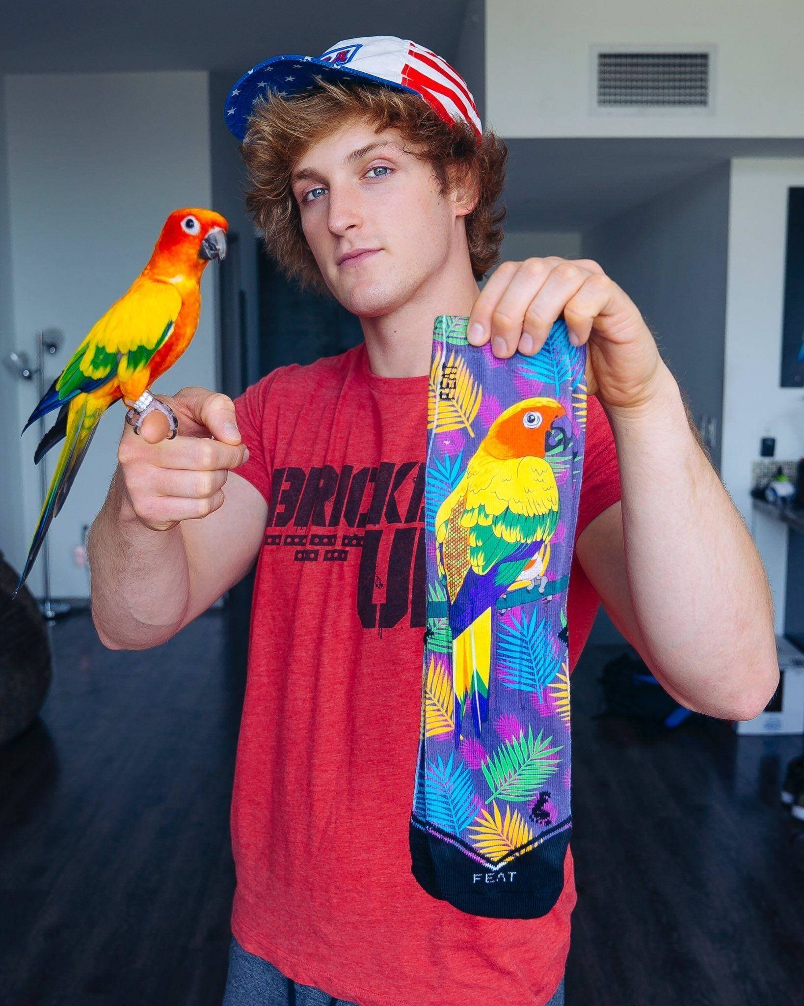 Logan Paul 與愛犬 Maverick 合影 壁紙 — 一名身穿紅色襯衫、戴美國國旗帽的年輕男子，手指上托著一隻色彩繽紛的鸚鵡，並拿著一雙配襯的熱帶鸚鵡圖案襪子。