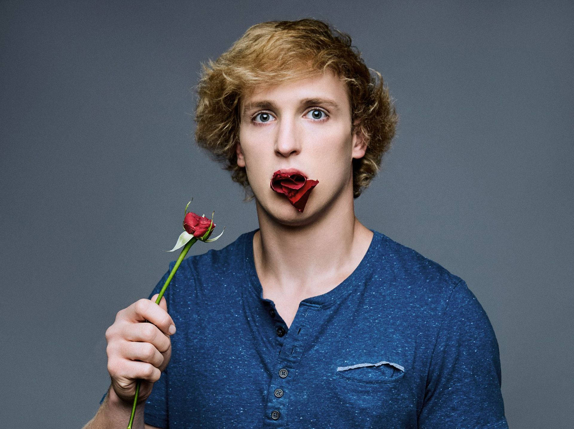 Logan Paul 花瓣造型創意照 壁紙 — 一位年輕男子，金色捲髮，手持紅玫瑰，在灰色攝影棚背景前頑皮地咬著花瓣。