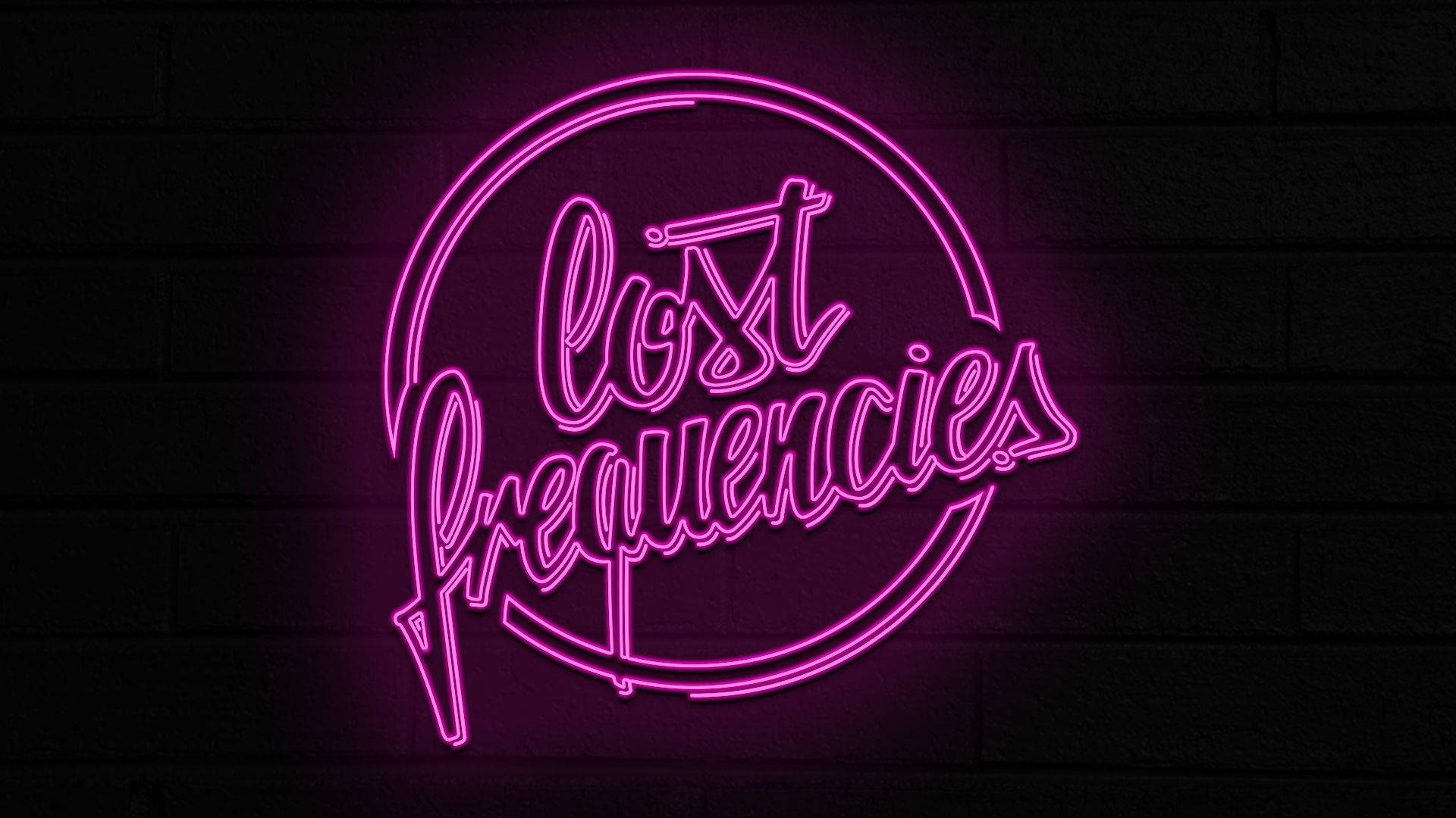 粉紅色霓虹燈牌寫著 Lost Frequencies 在深色磚牆上。