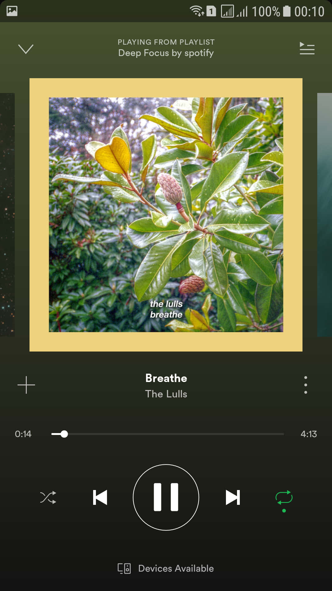 《Lulls Song》呼吸音樂封面 壁紙 — 一張特寫照片，顯示鮮綠色木蘭葉和花蕾，被黃色邊框框在Spotify音樂播放器屏幕上。