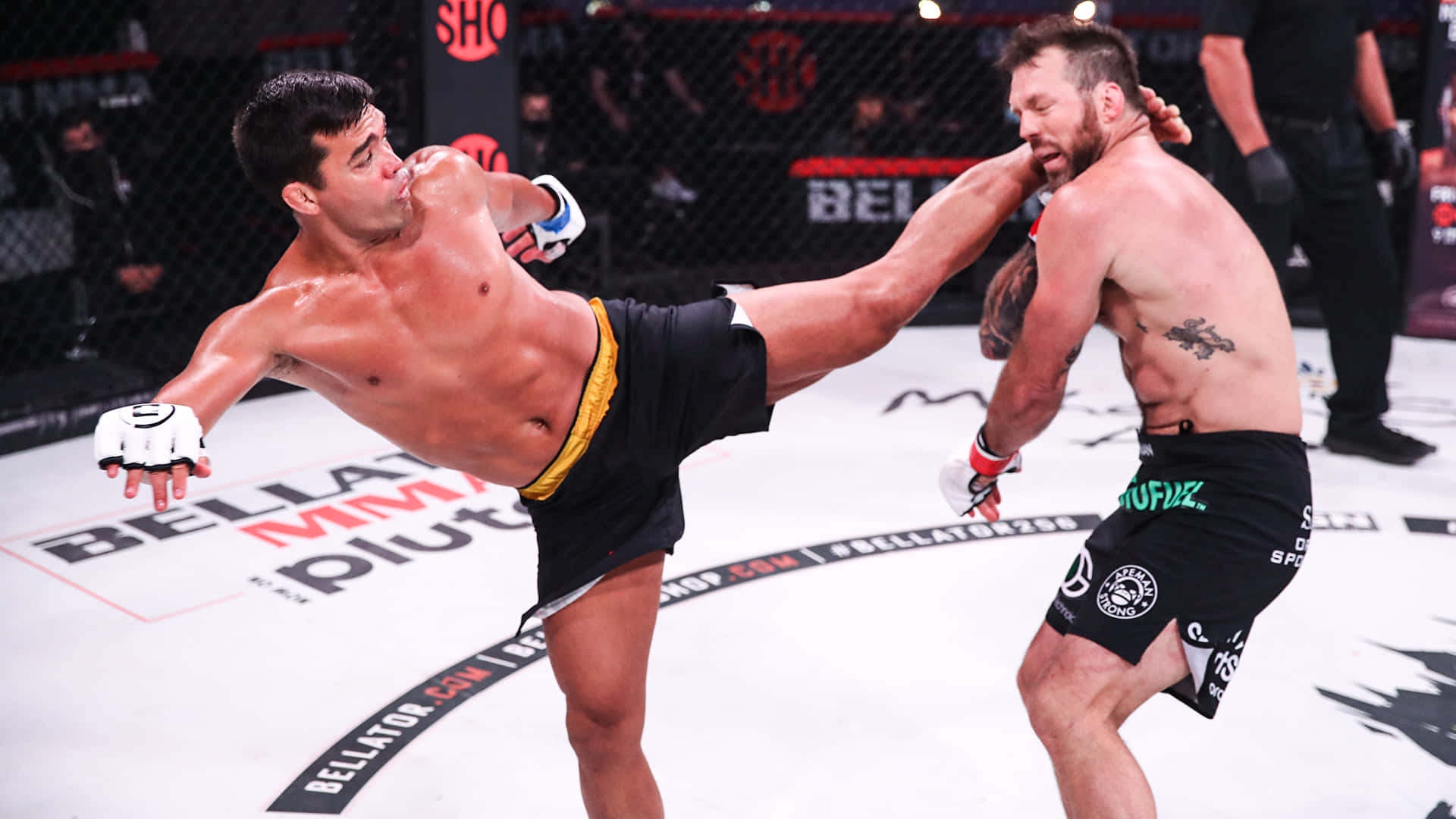 兩名男性拳手在鐵籠中於MMA比賽期間踢出高踢。