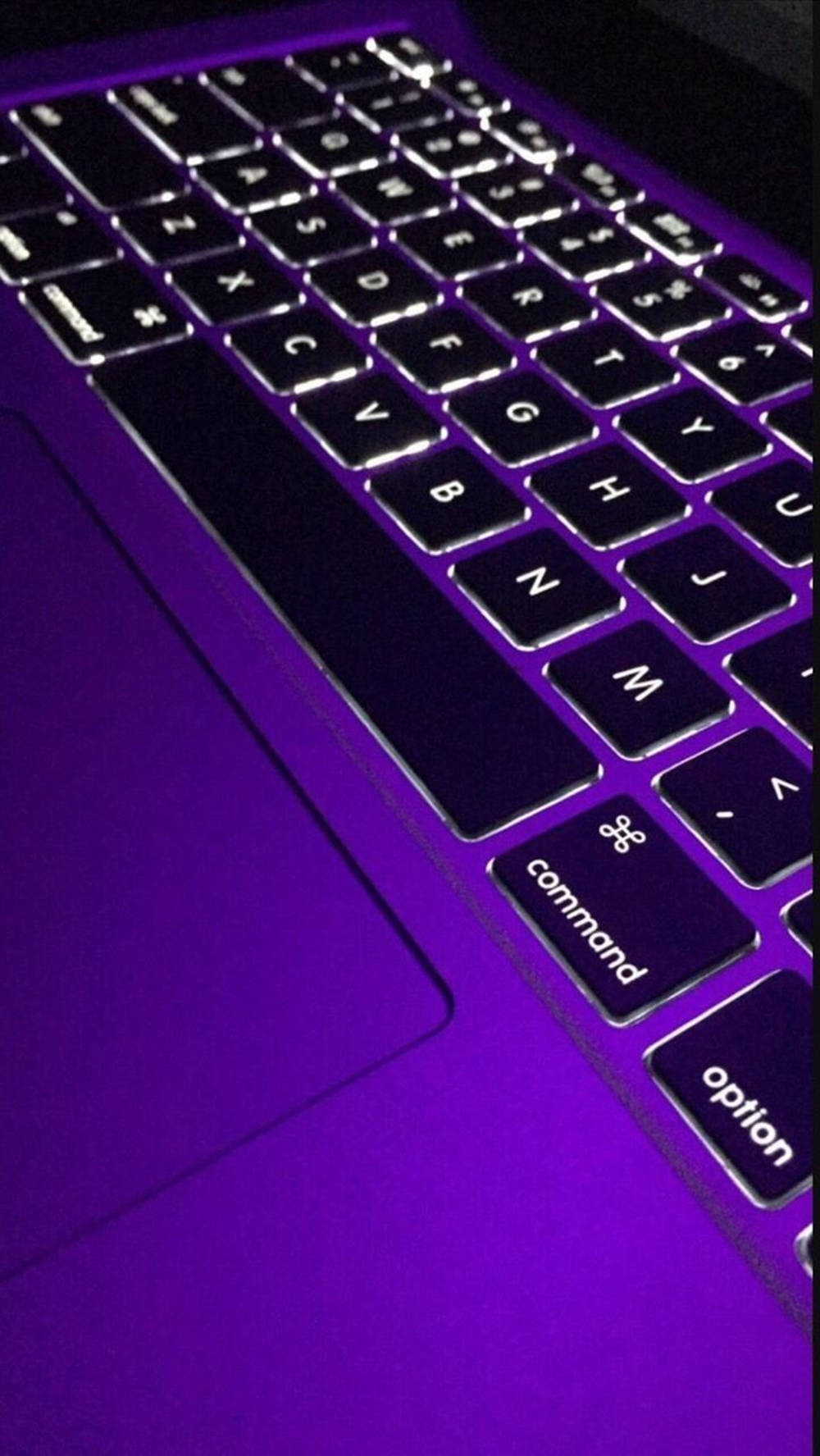 筆記型電腦鍵盤在紫色光線下發光，可見 command 和 option 按鍵。
